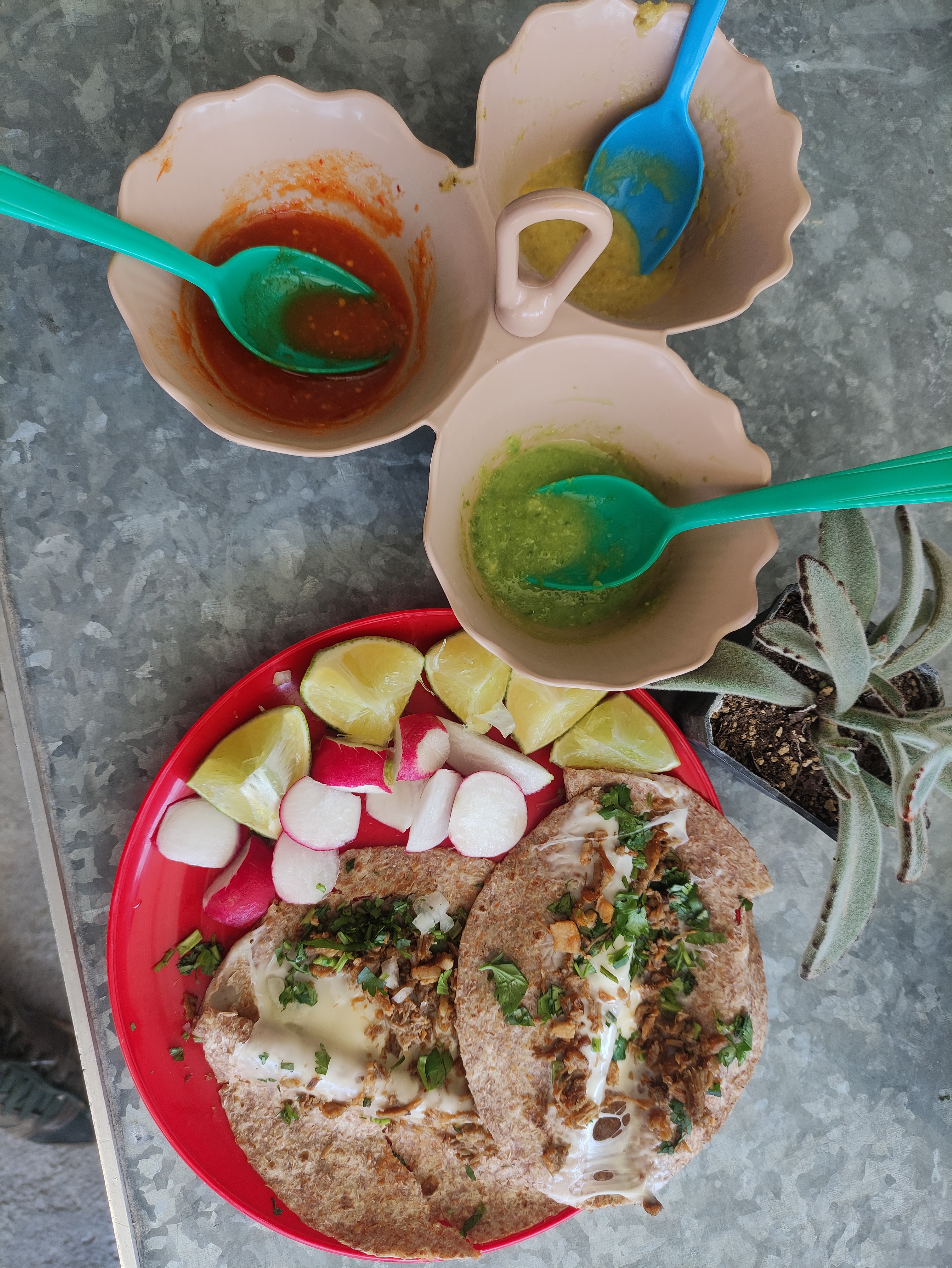 El buey Birrieria. image 1