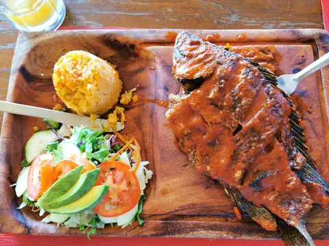 Los Agaves image 4