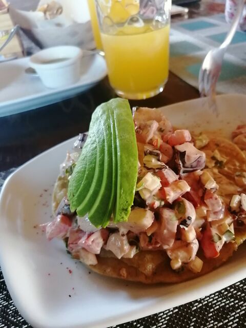 Los Agaves image 7