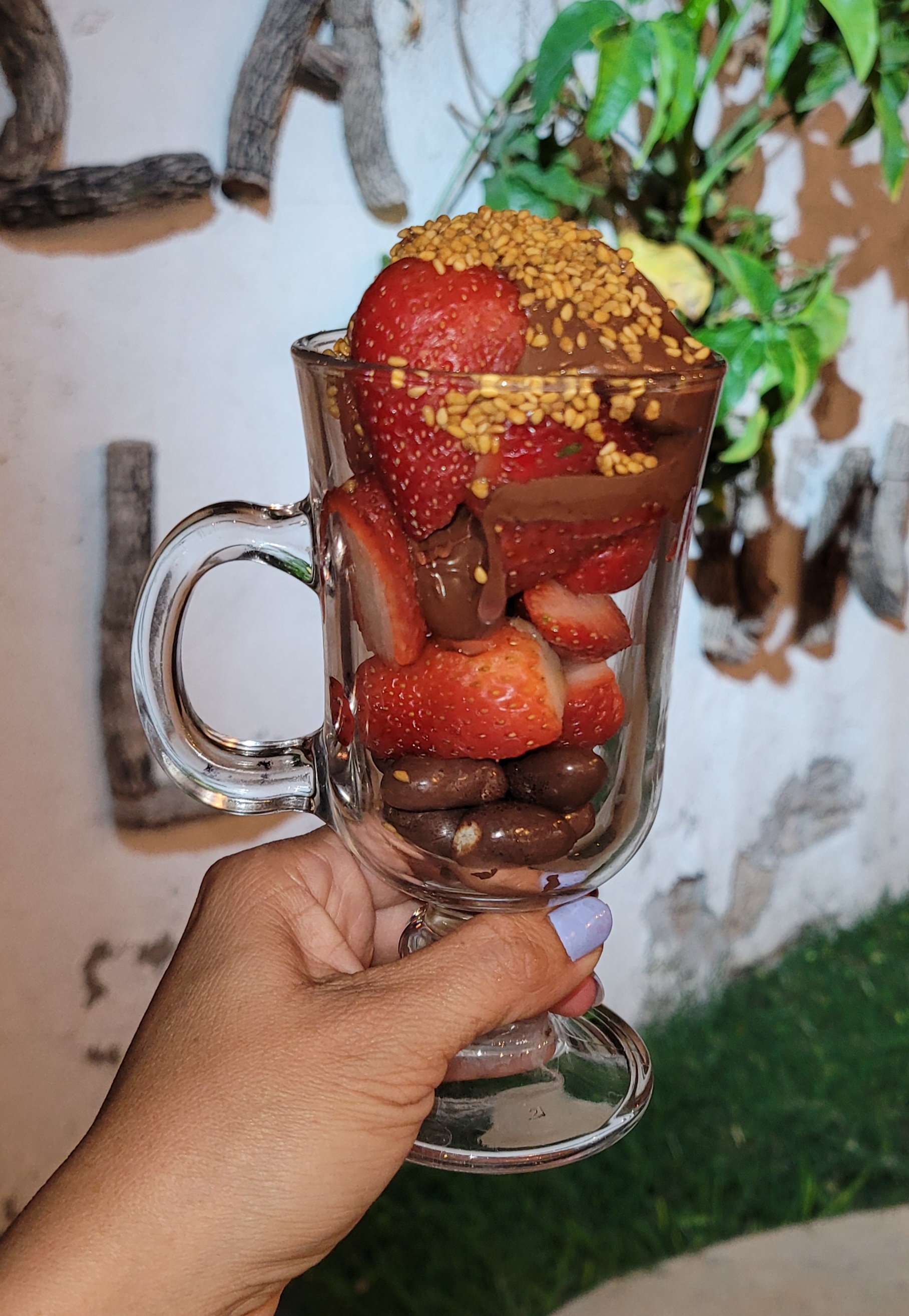 La limonaria image 5