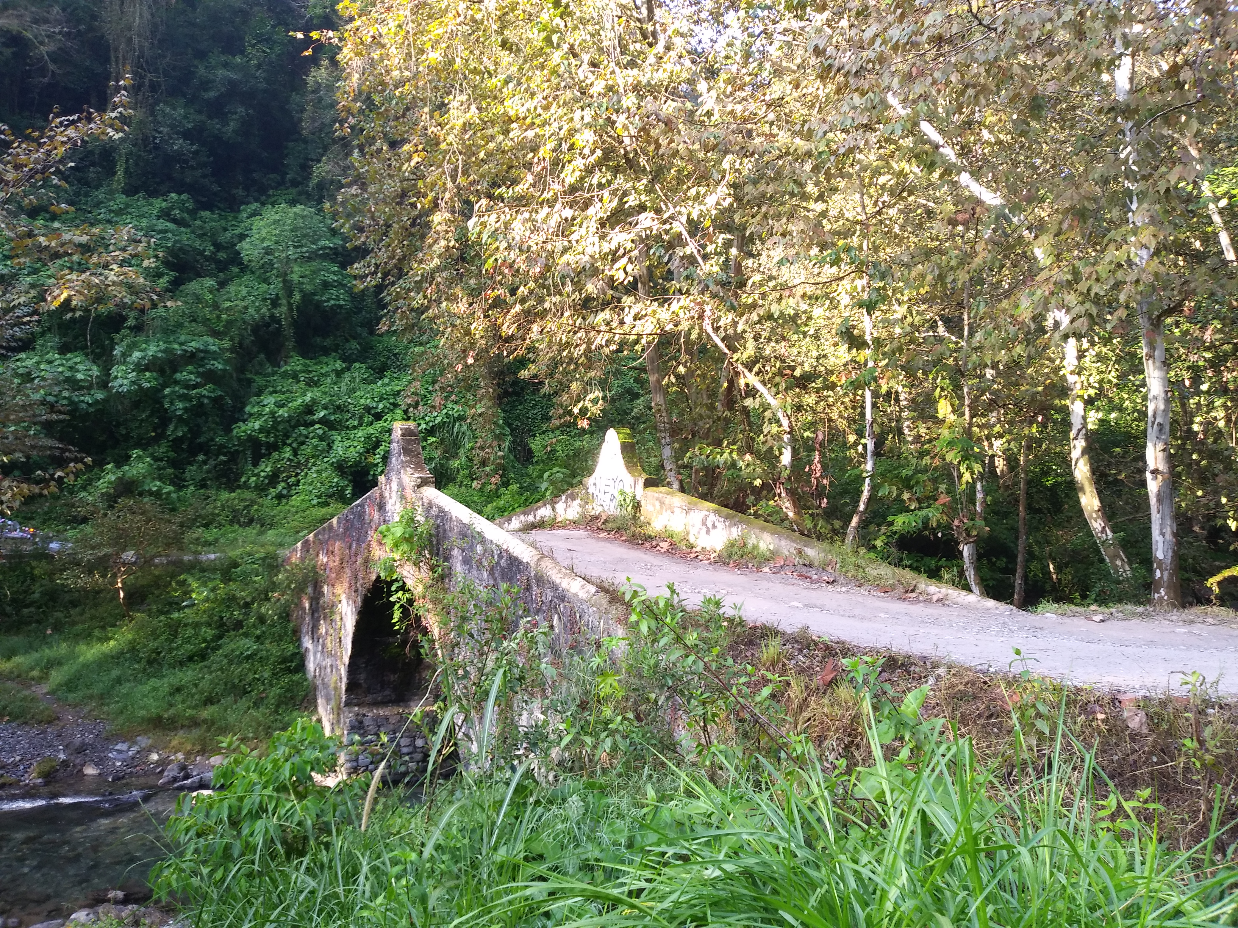 ZAPATA restaurante image 6