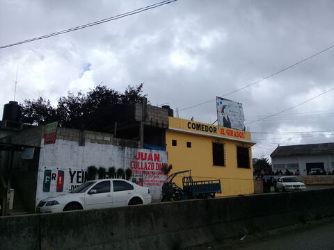 Girasol image 2