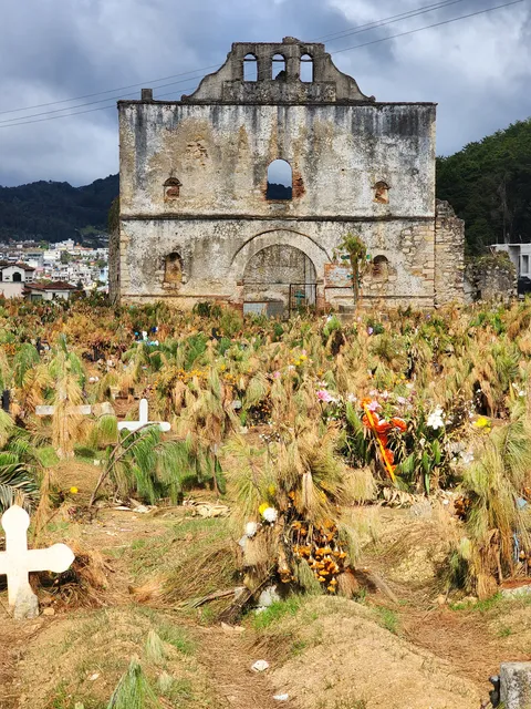 Girasol image 4