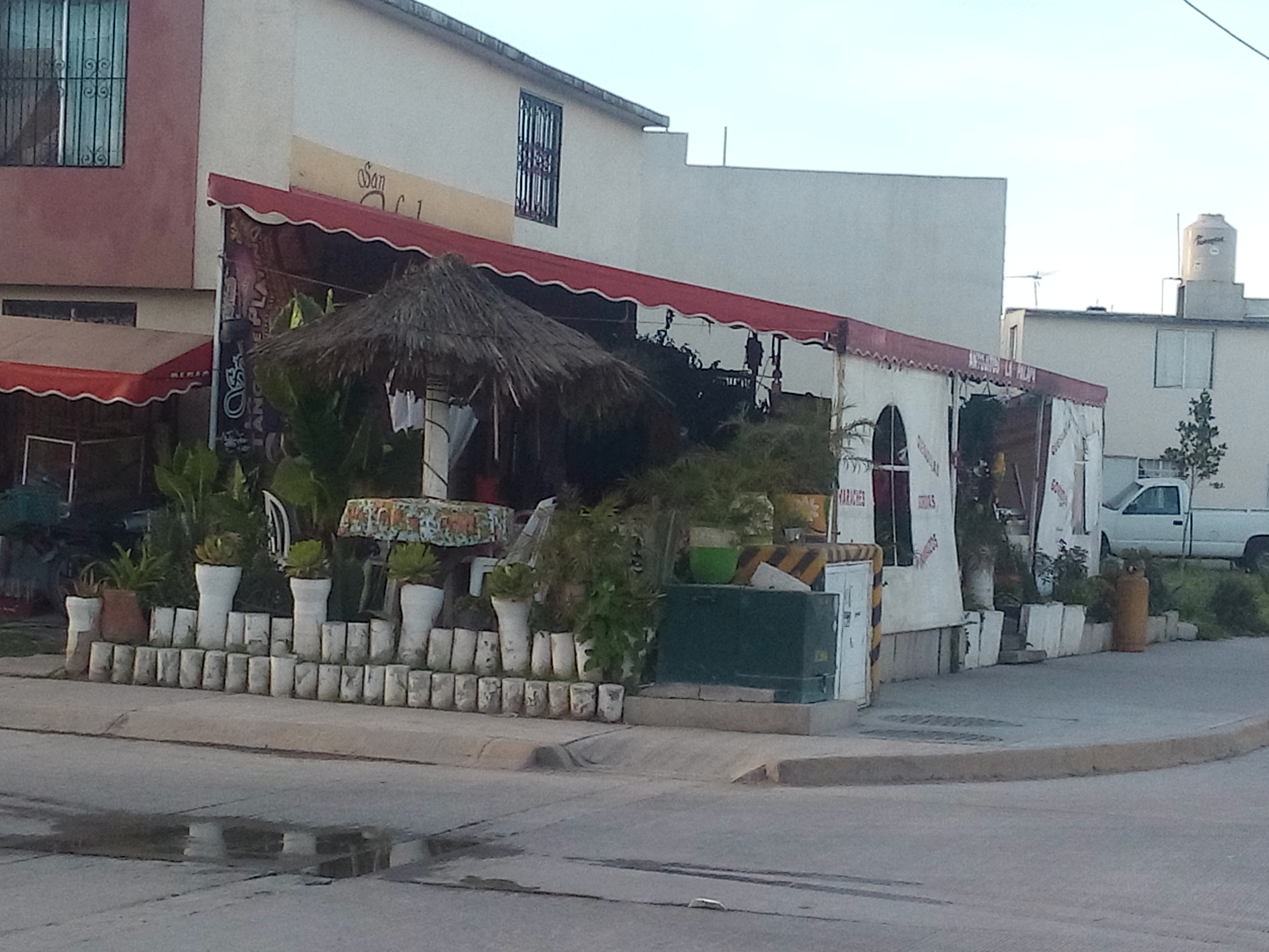 La Palapa Gus image 1