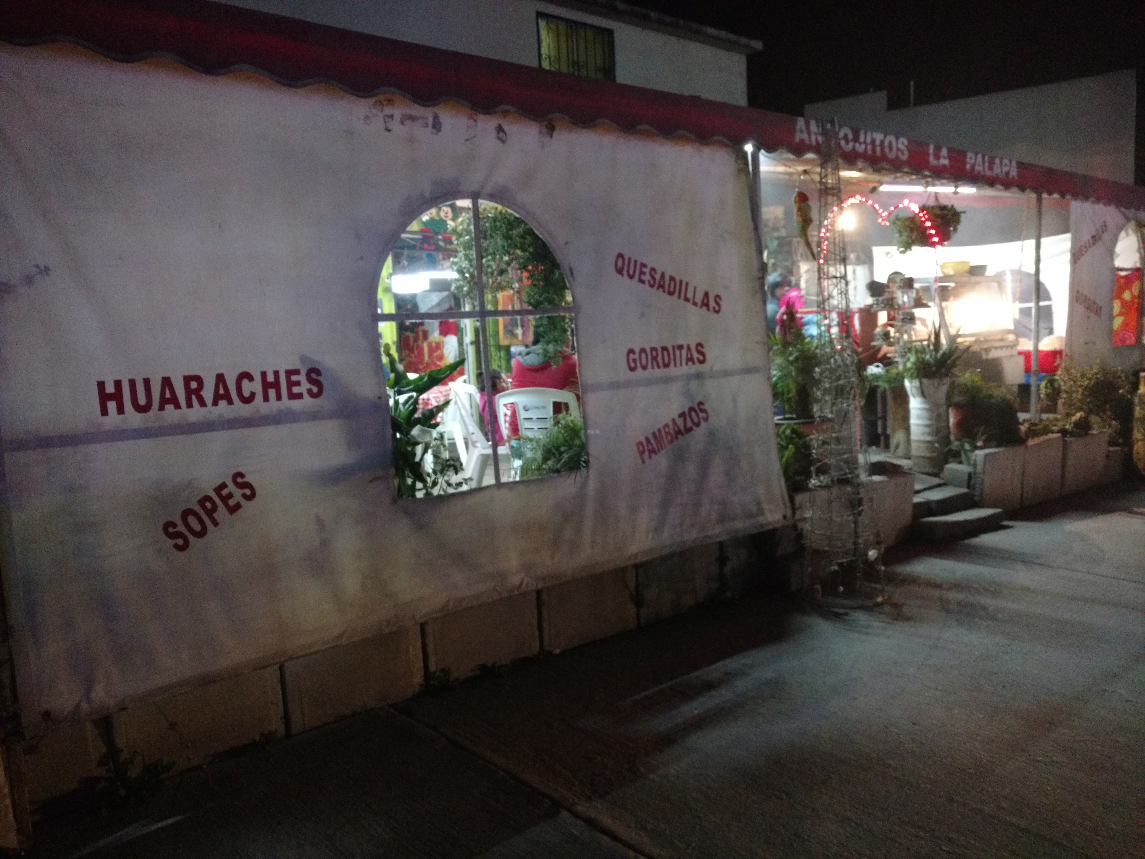 La Palapa Gus image 4