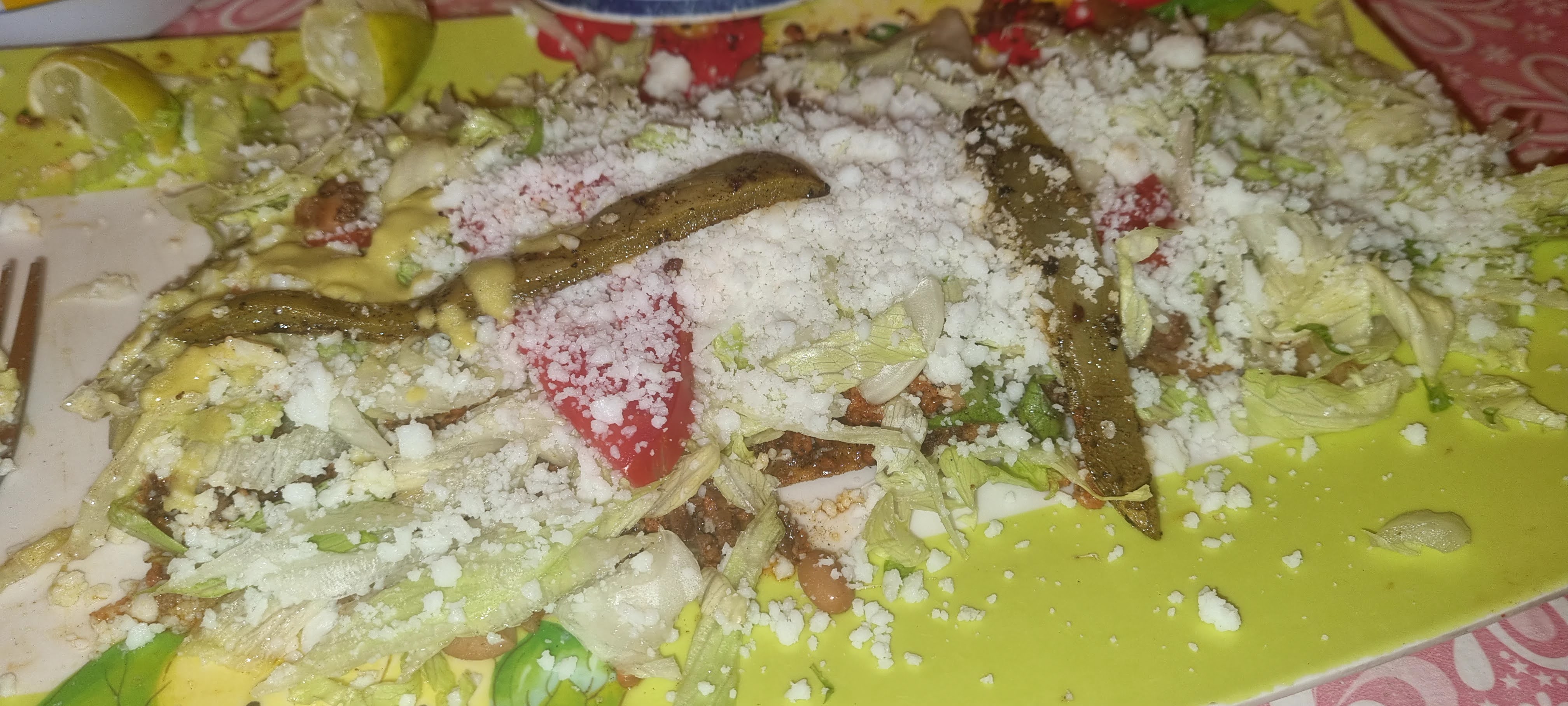 La Palapa Gus image 8