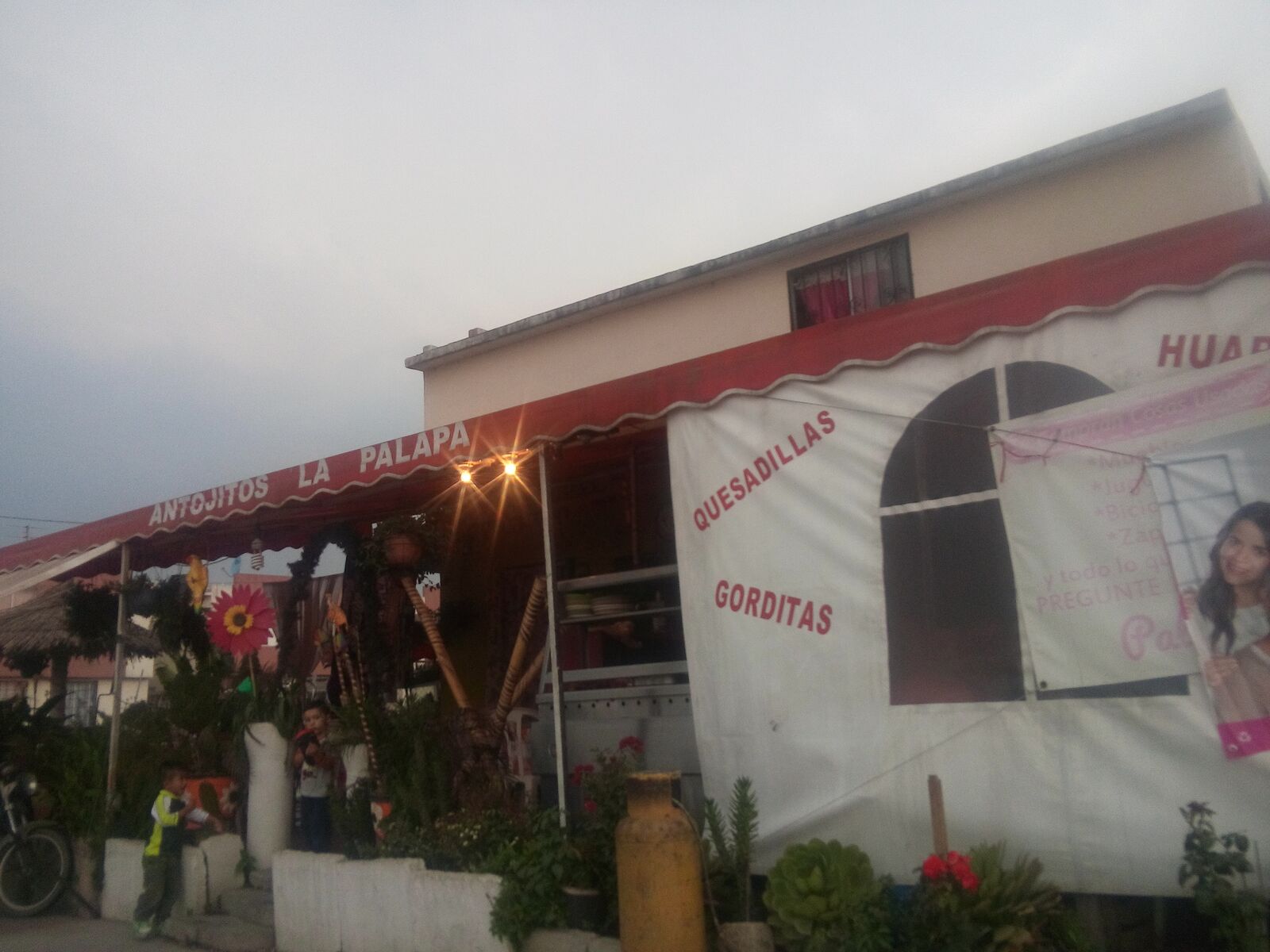 La Palapa Gus image 9
