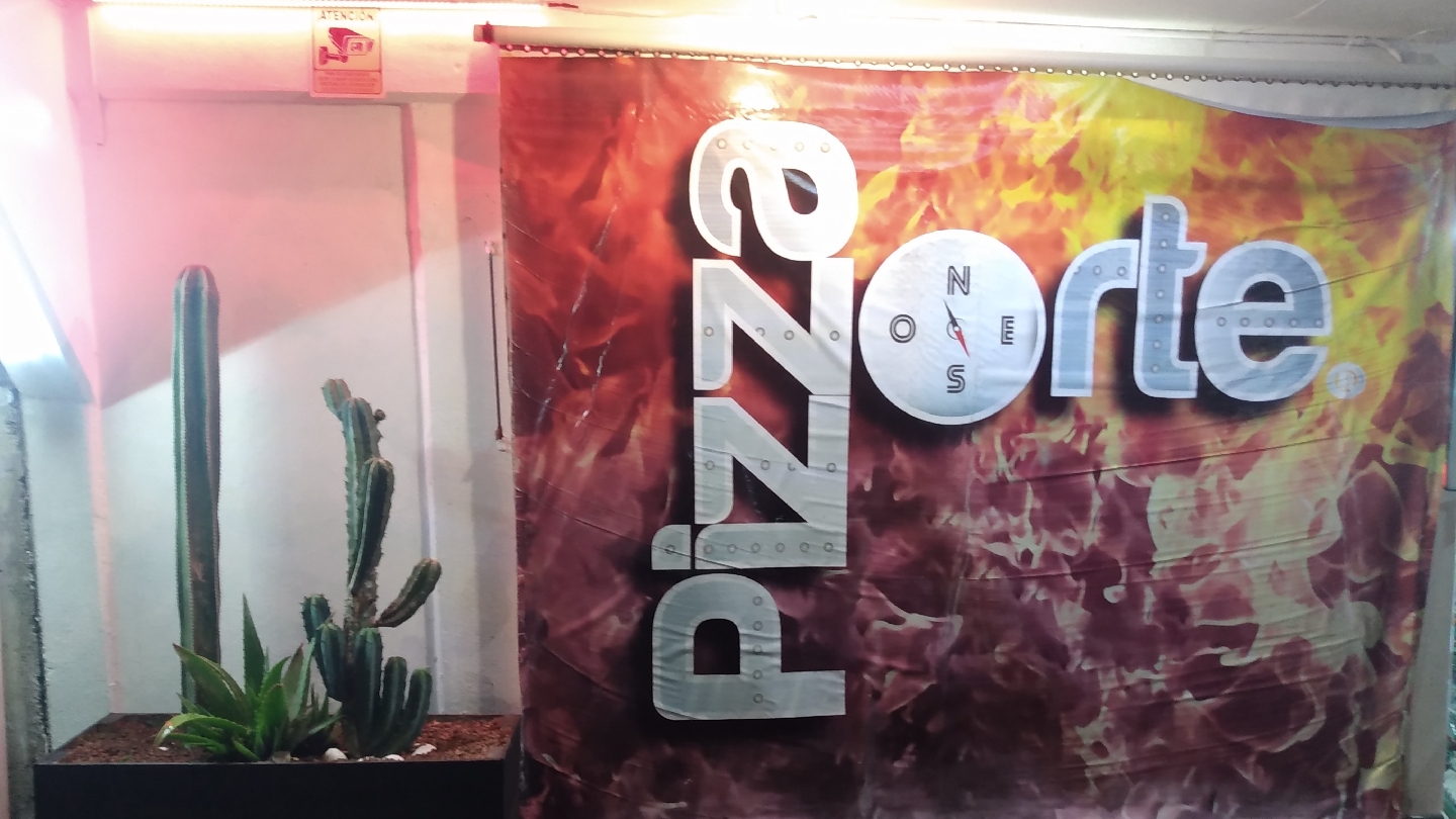Pizza norte image 2