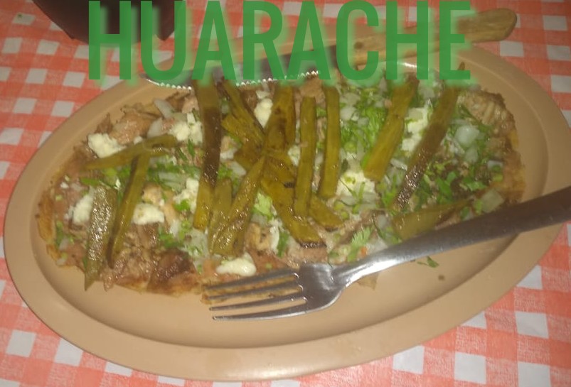 TACOS EL GUSANO image 4