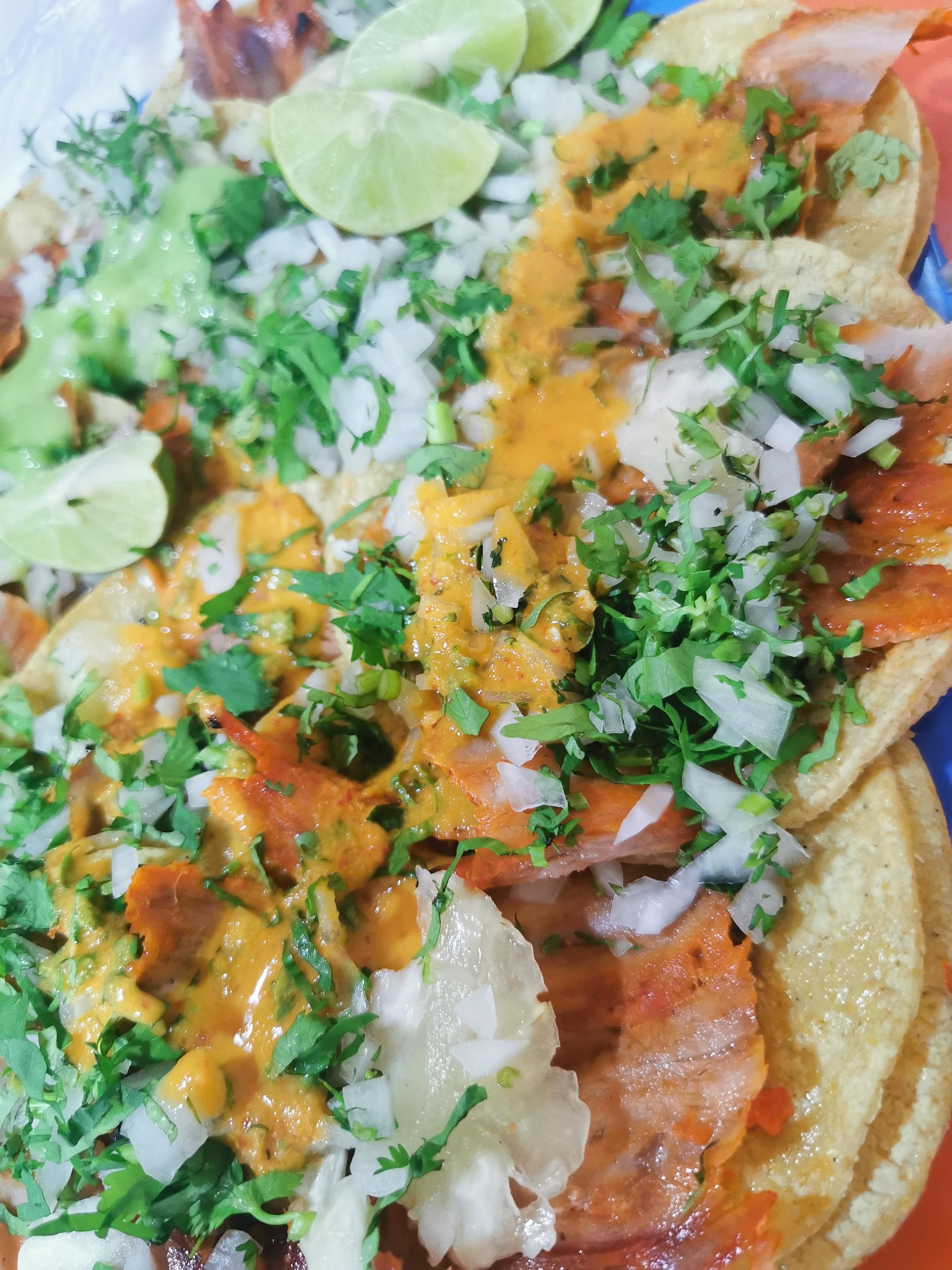 TACOS EL GUSANO image 5