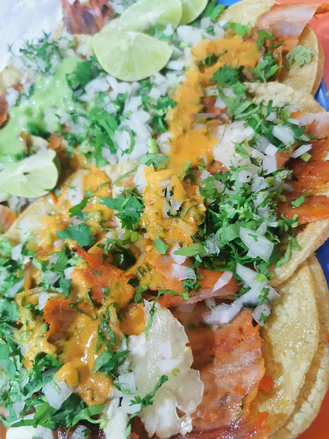 TACOS EL GUSANO image 5