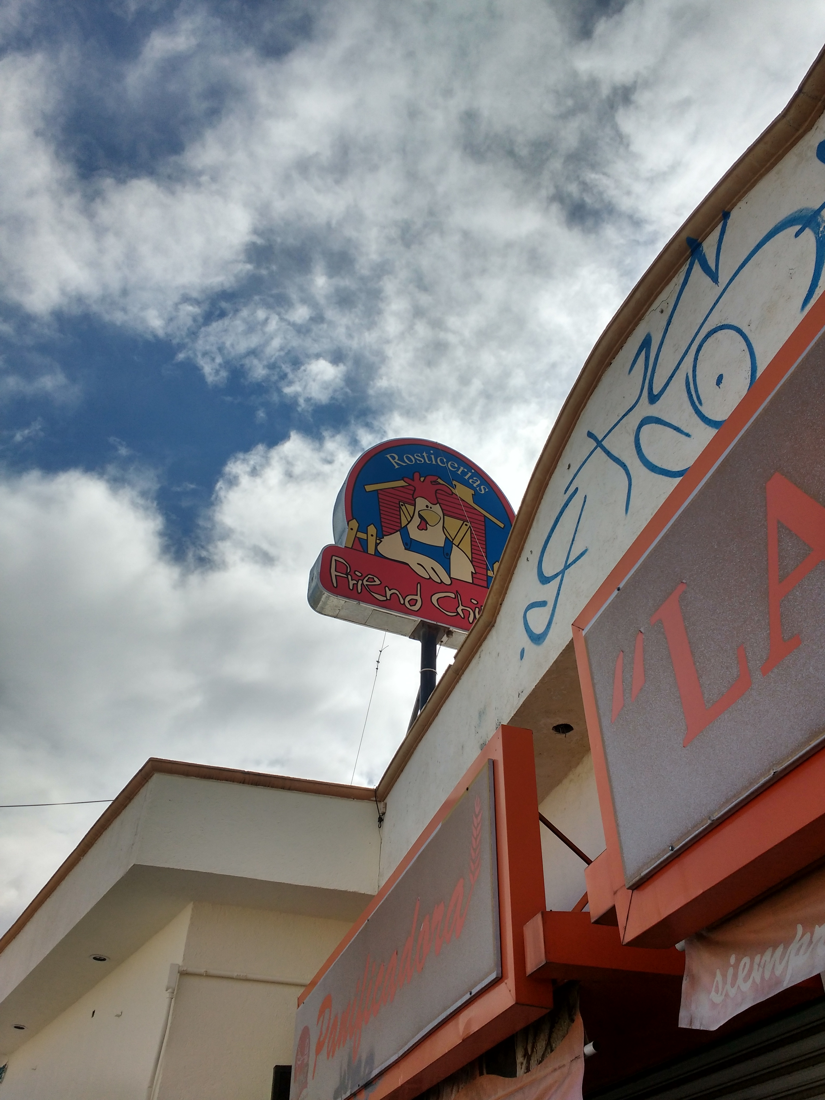 Friend and Chicken image 5