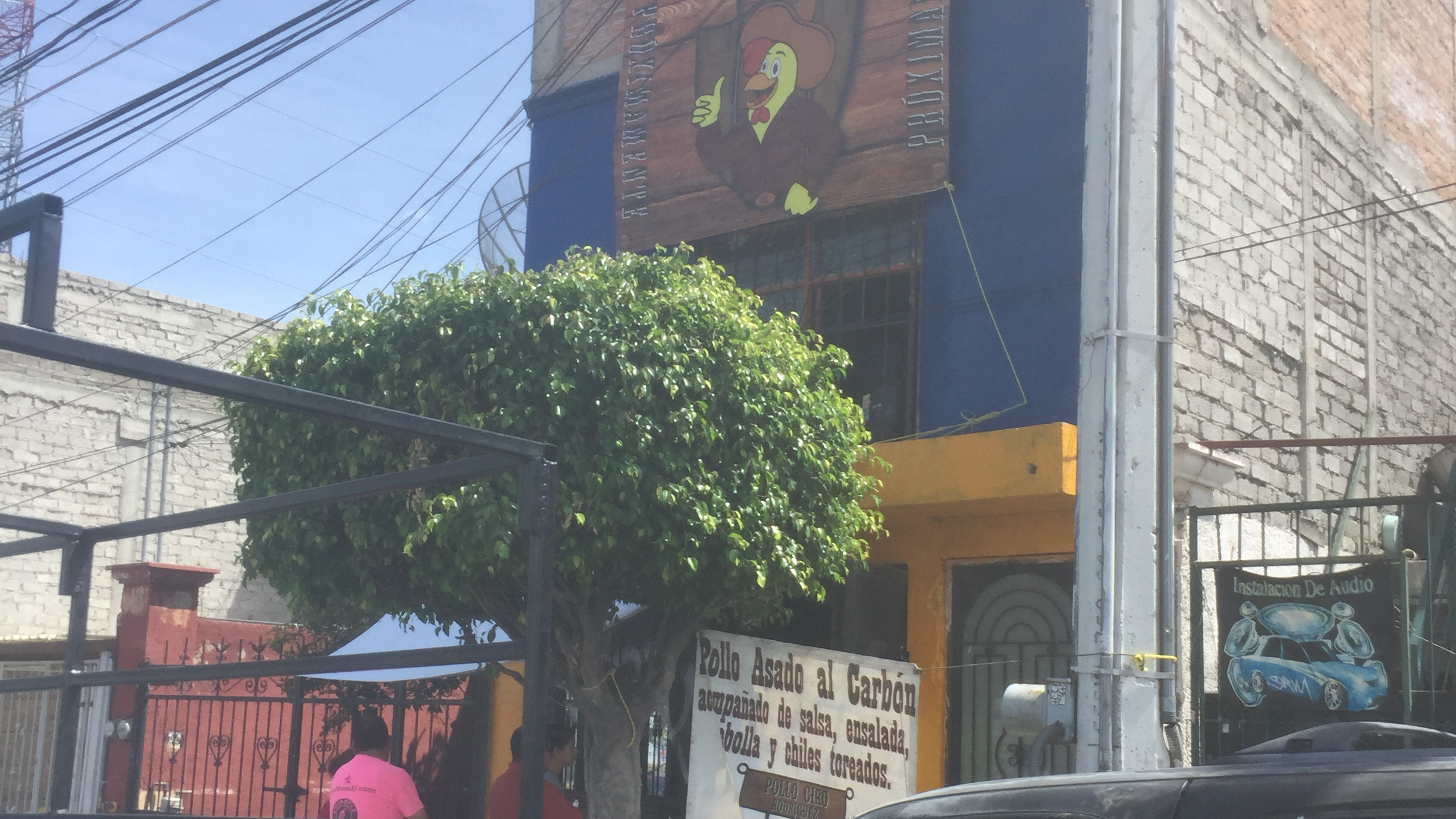 Pollo Ciro Rodriguez image 1