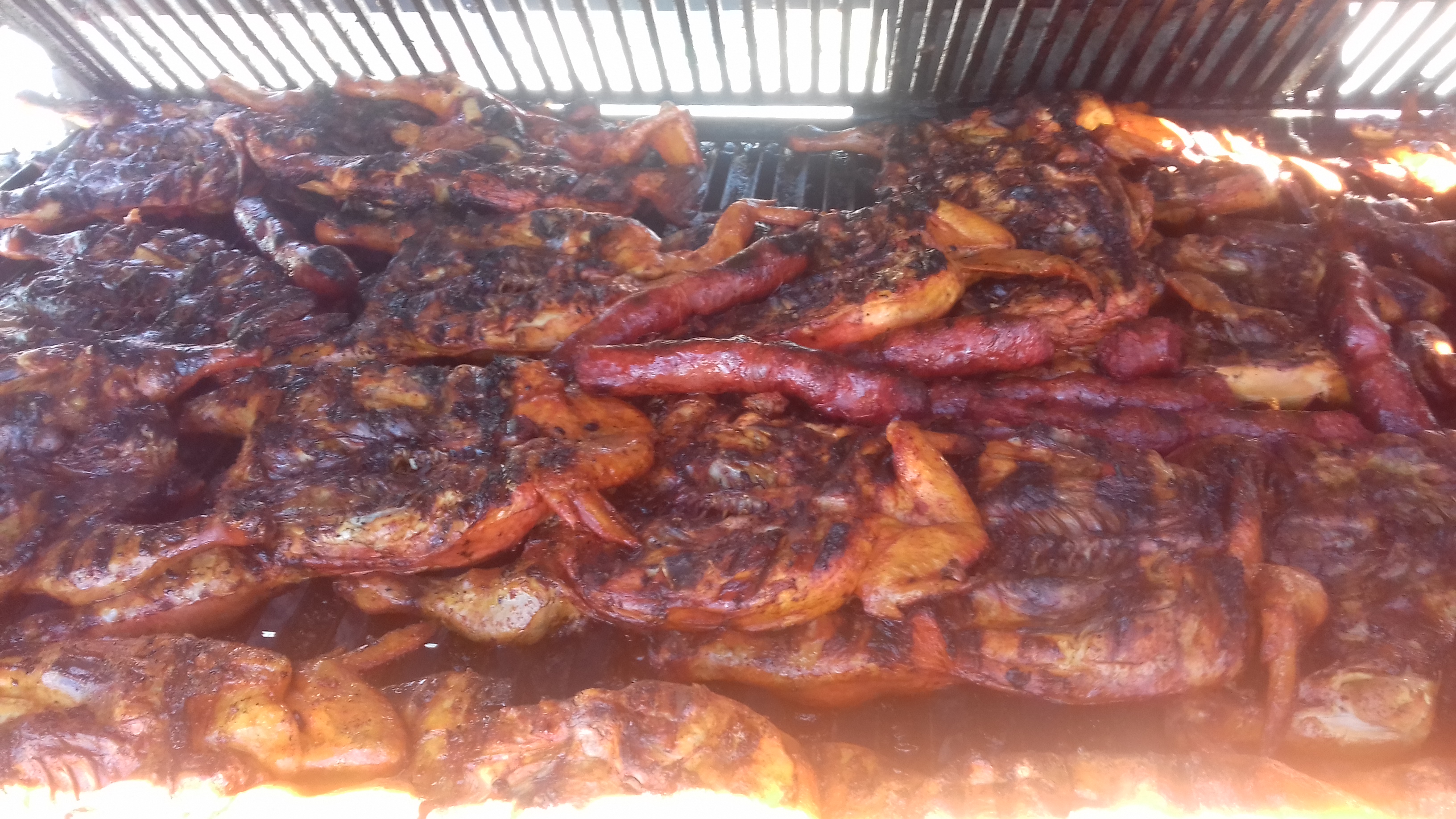 Pollo Ciro Rodriguez image 2