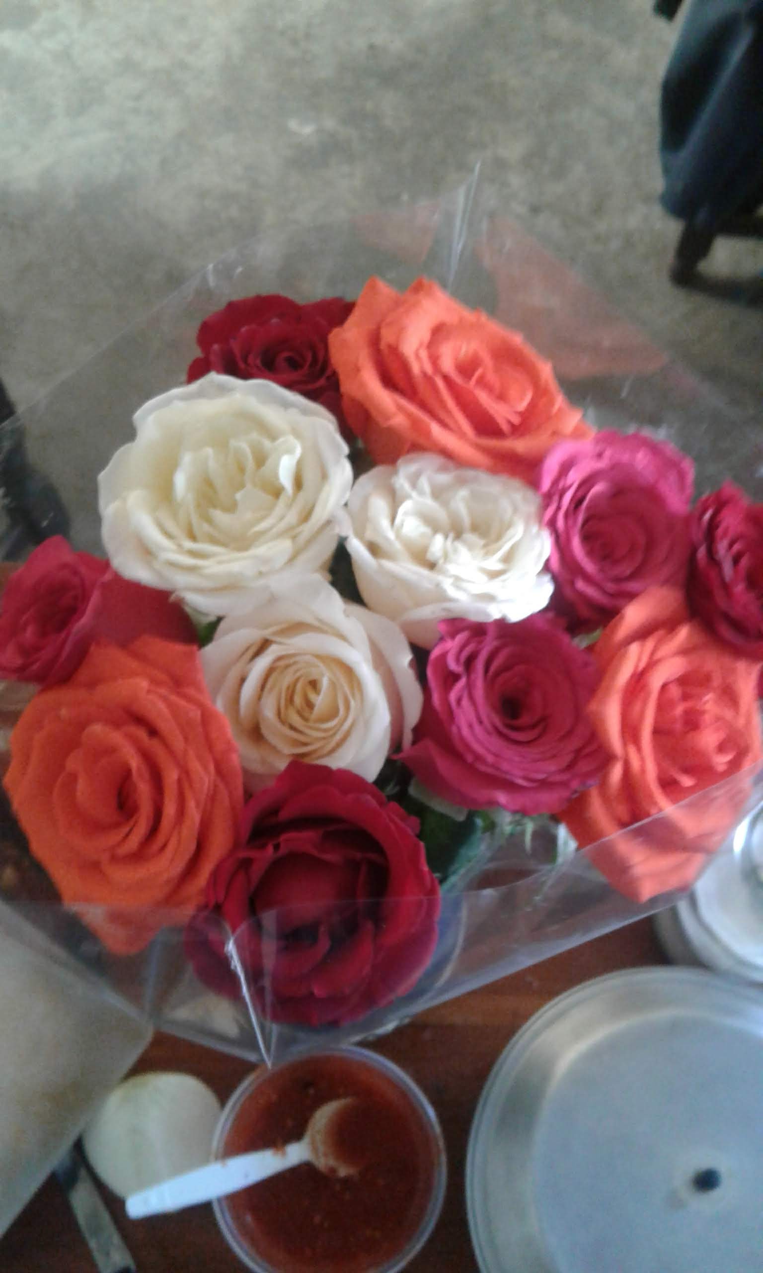 Pollo Ciro Rodriguez image 3