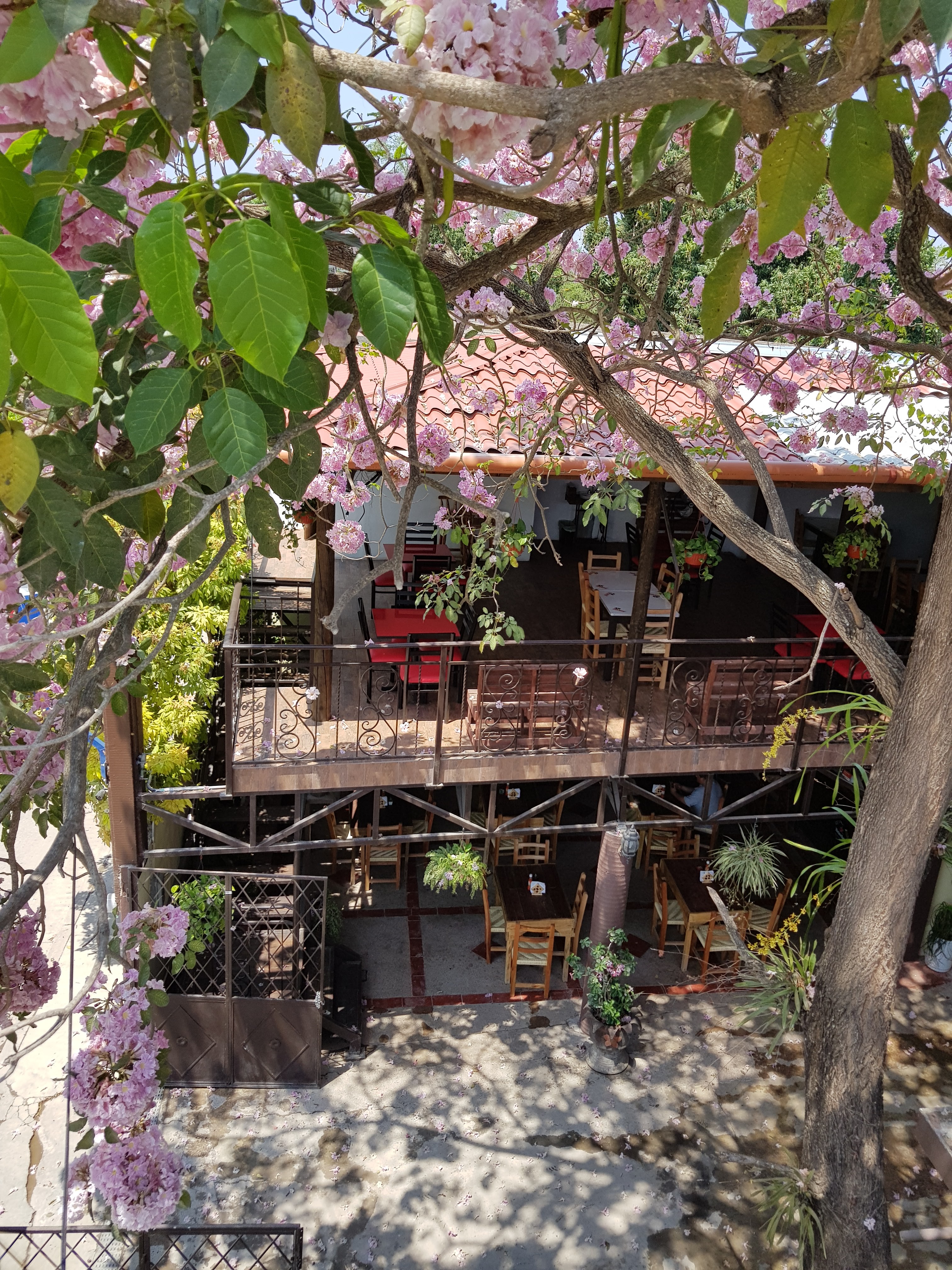 Cabaña 1129 image 4