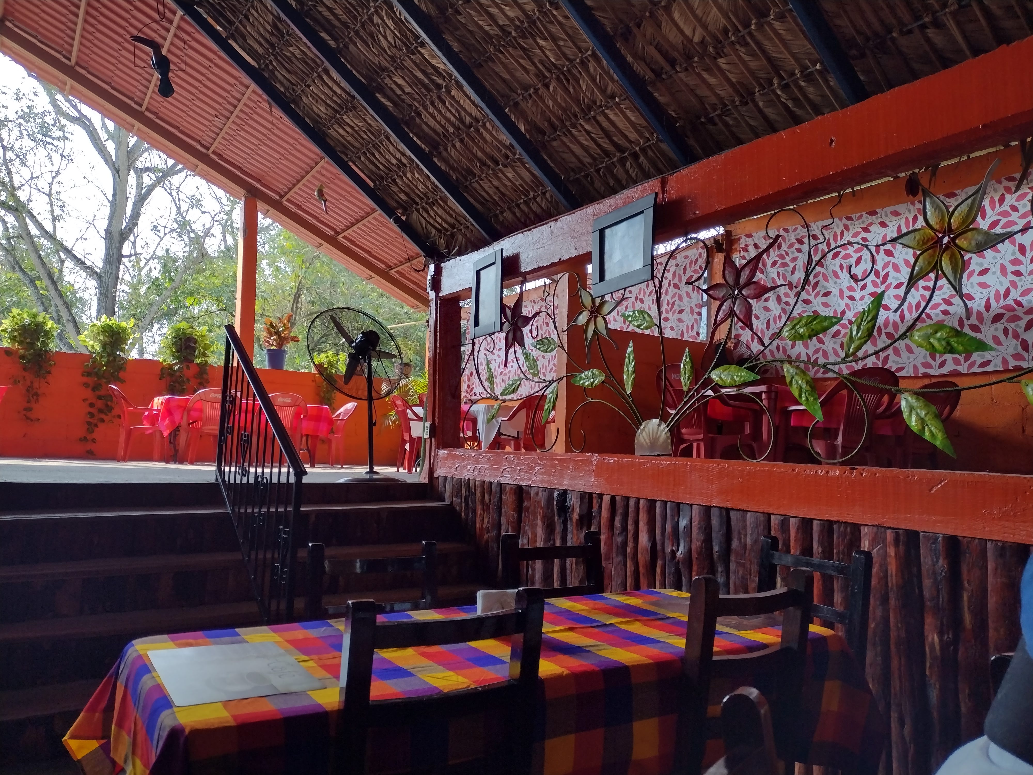 Bolillito De Oro image 5