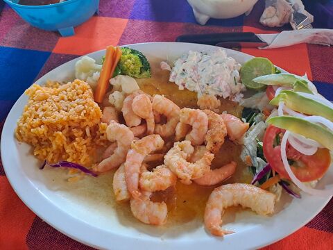 Bolillito De Oro image 6