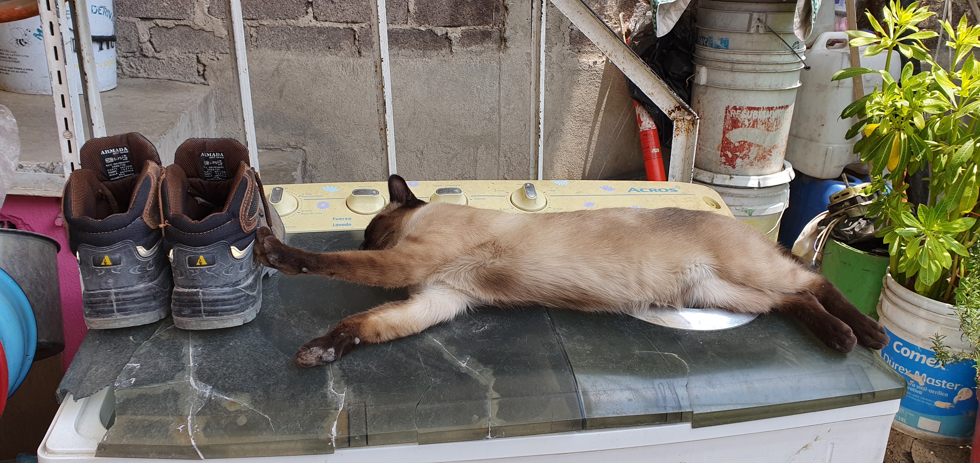 Cocina Económica La Poblanita image 1