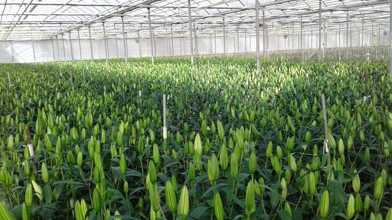 Rancho La Reata Vieja image 1