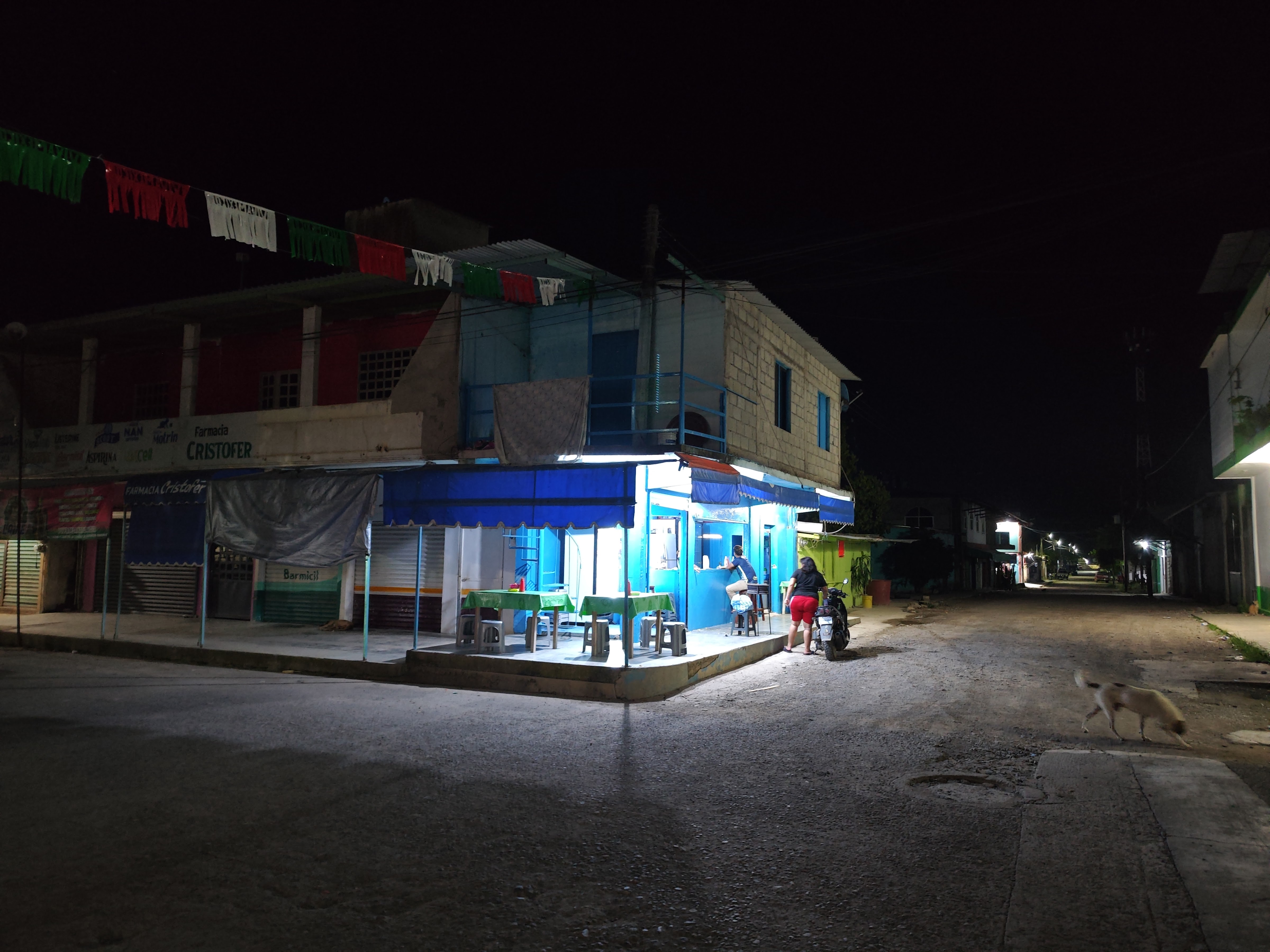 TLAYUDAS "LA GÜERA" image 9