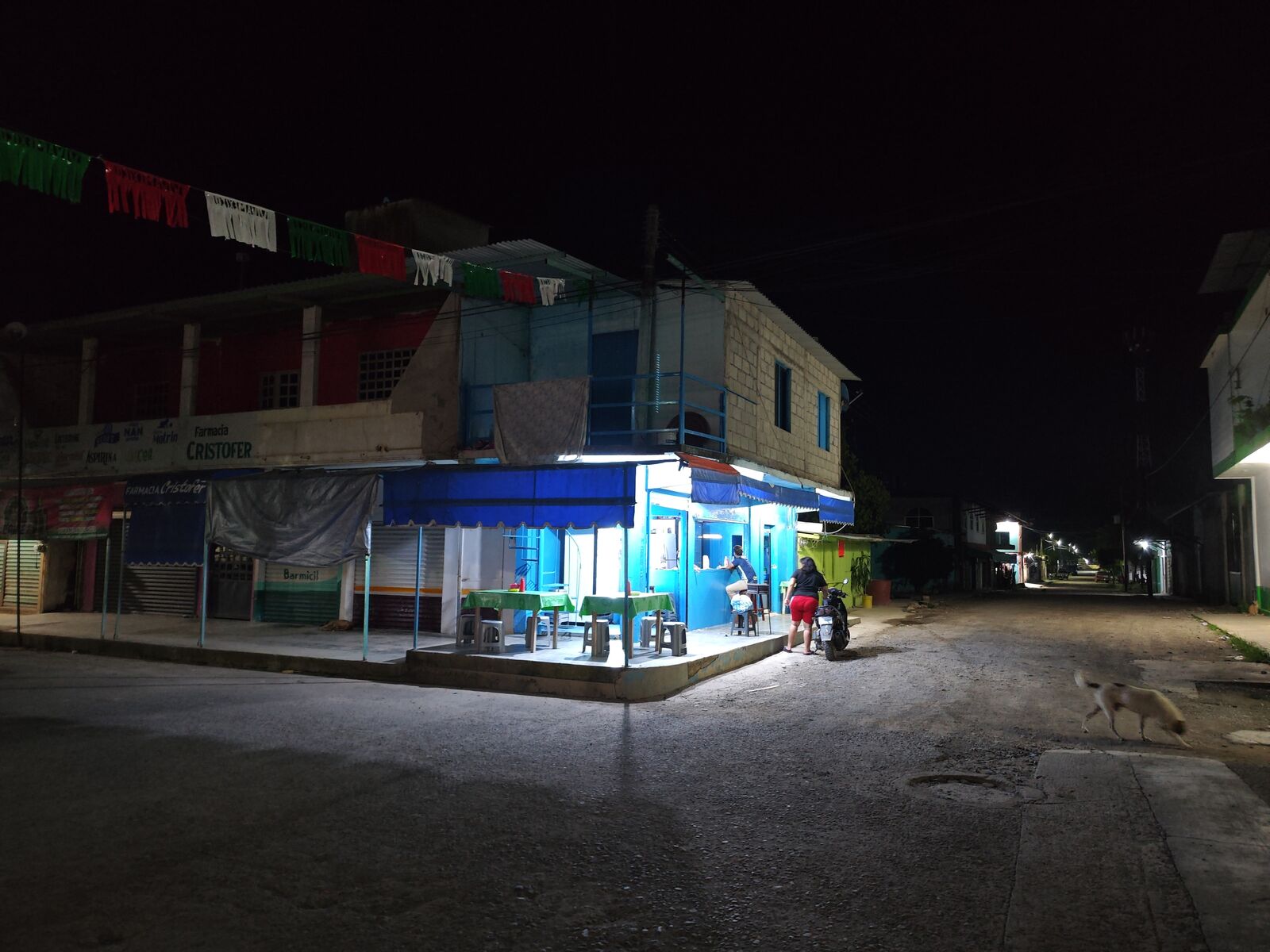 TLAYUDAS "LA GÜERA" image 9