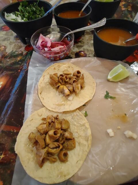TRIPITAS MATEO image 4