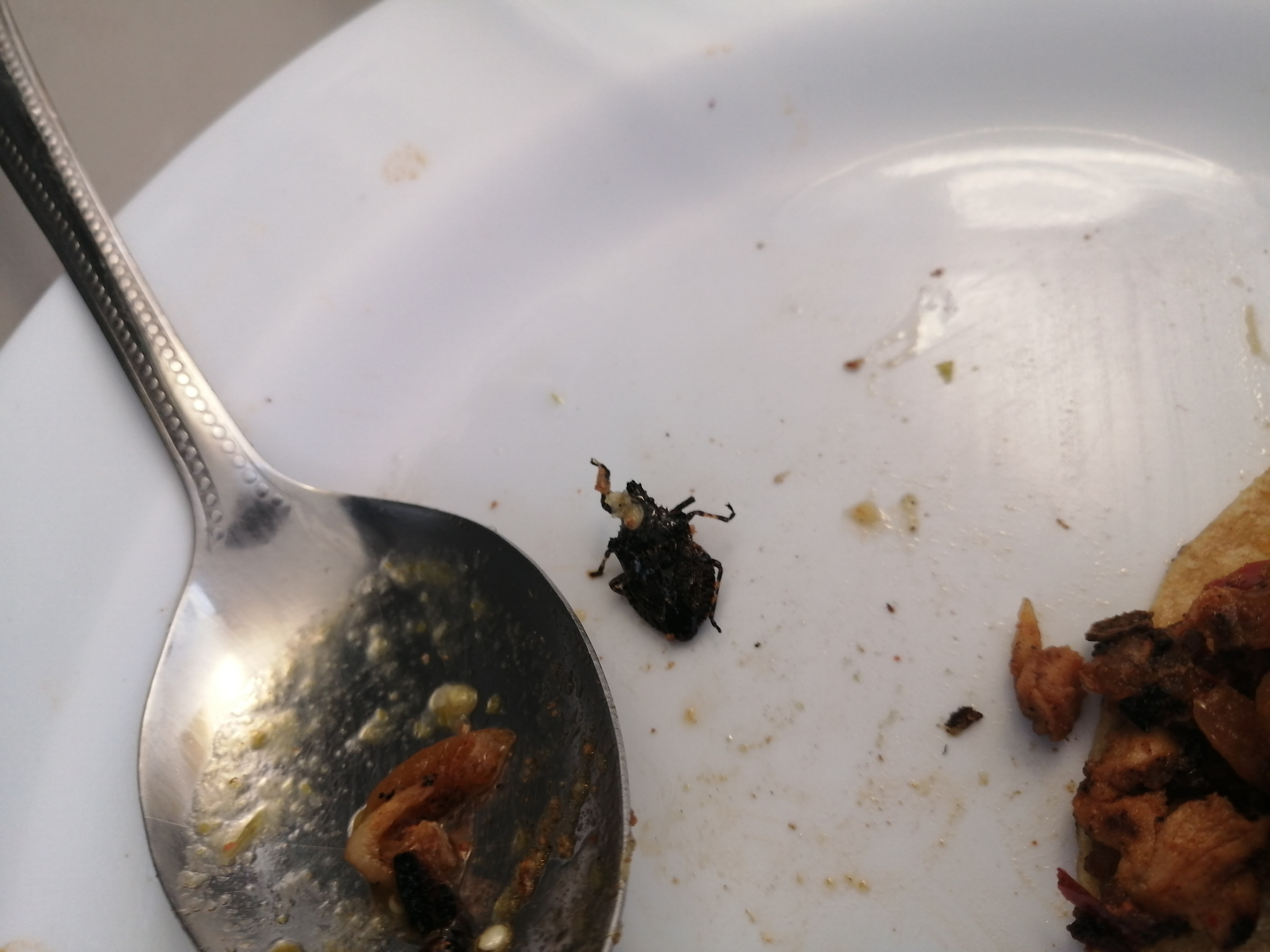 Taqueria El Tío image 6