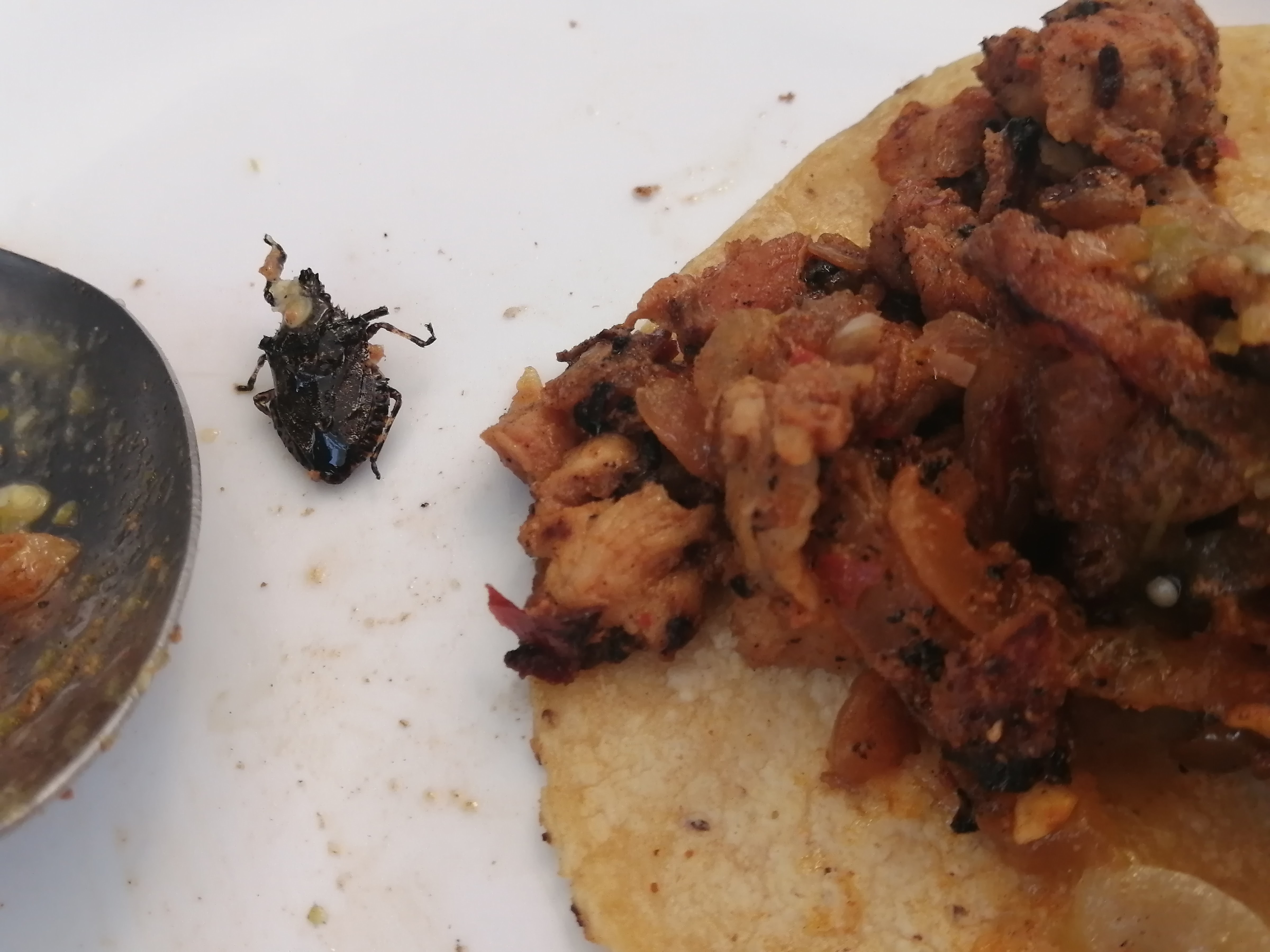 Taqueria El Tío image 9