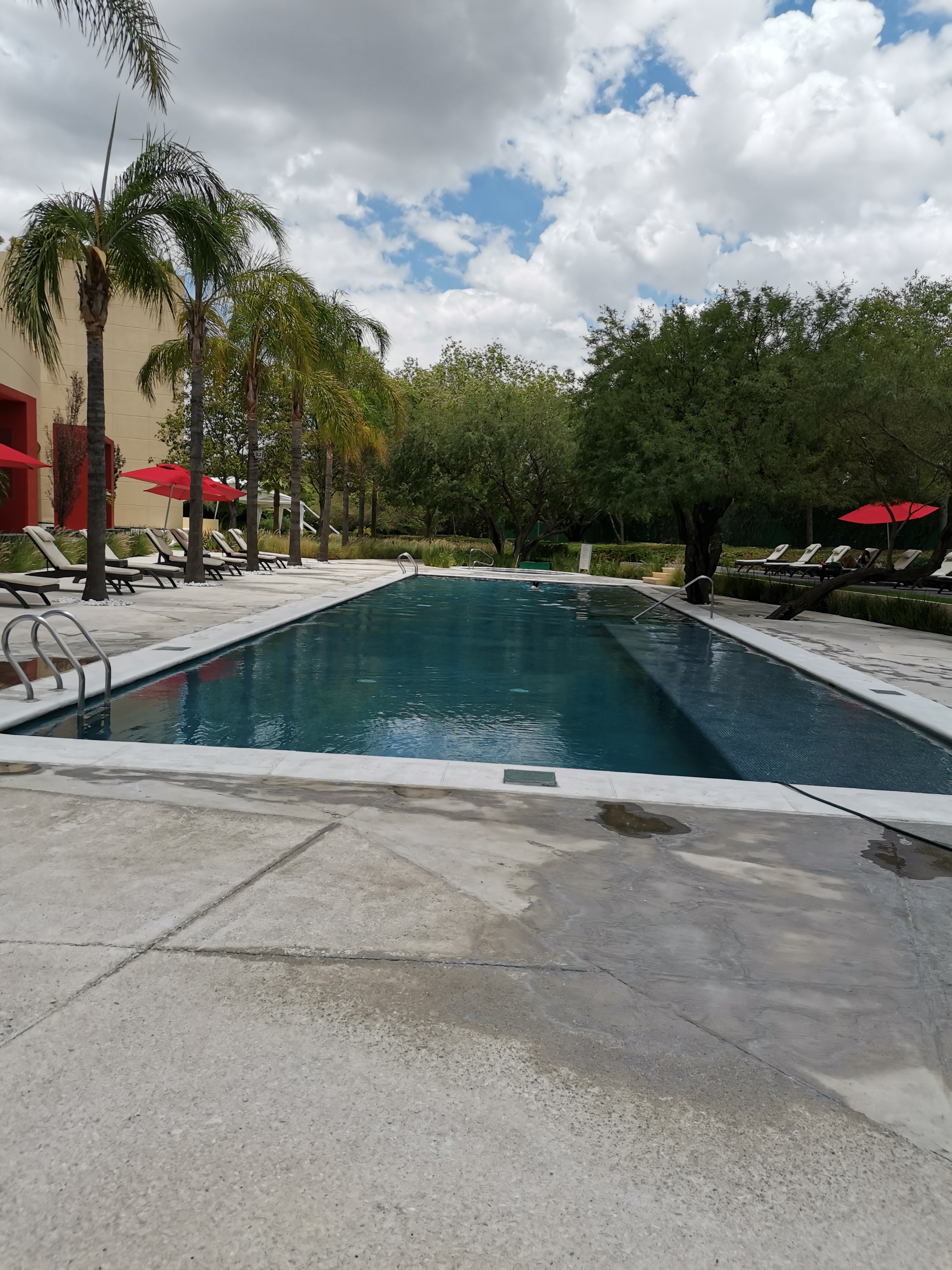 Restaurante Condimento Hotel Marriott image 4