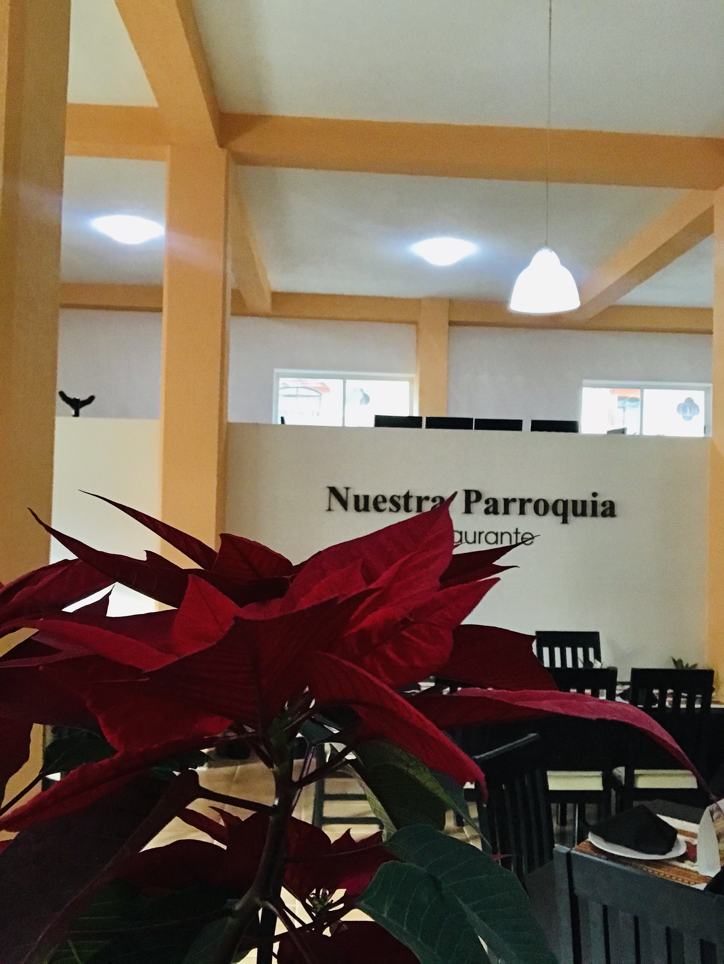 RESTAURANTE NUESTRA PARROQUIA image 3