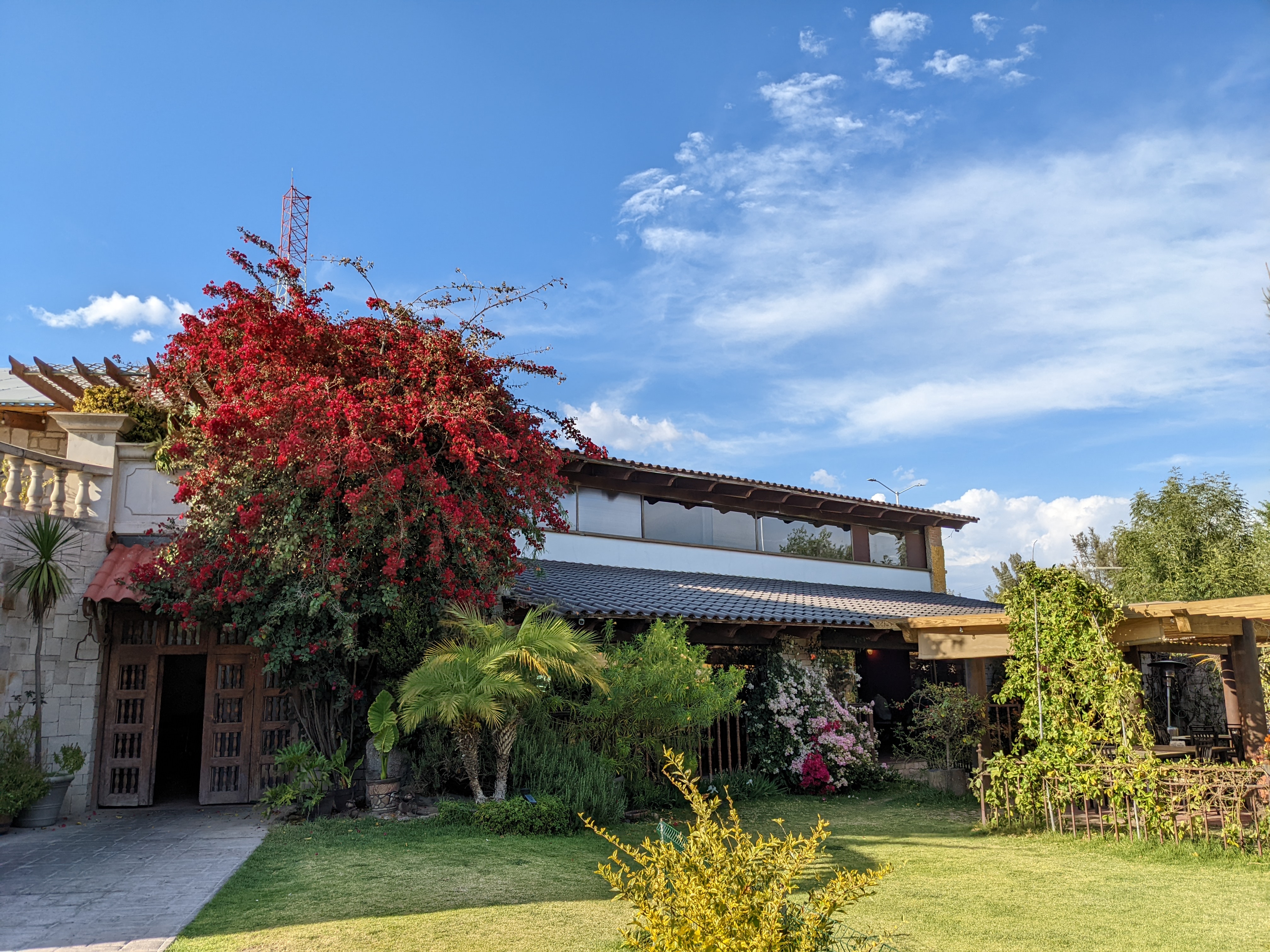 El Asador de la Toscana image 10