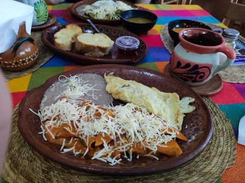 El Jardin de los Canarios image 3