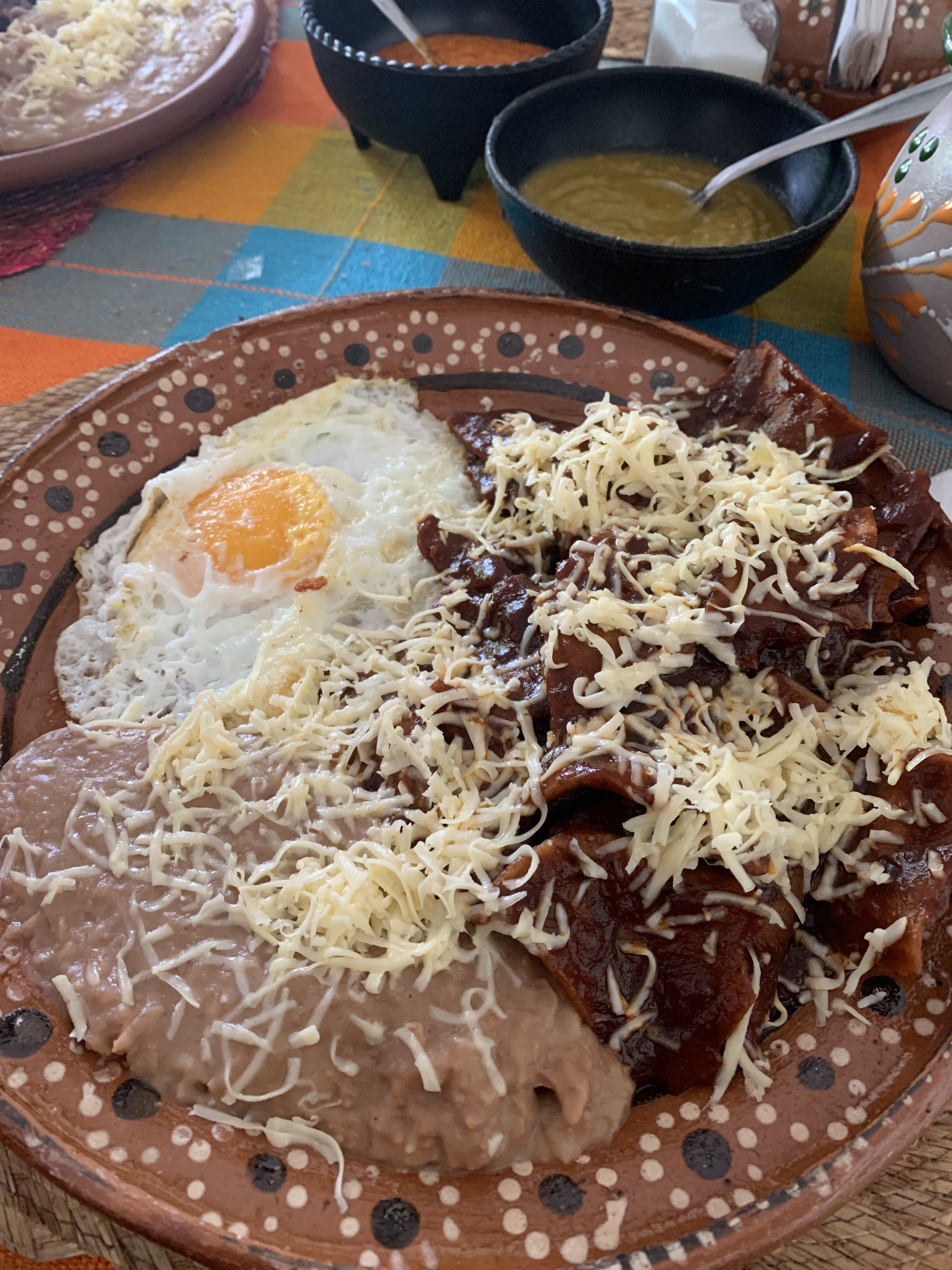 El Jardin de los Canarios image 6