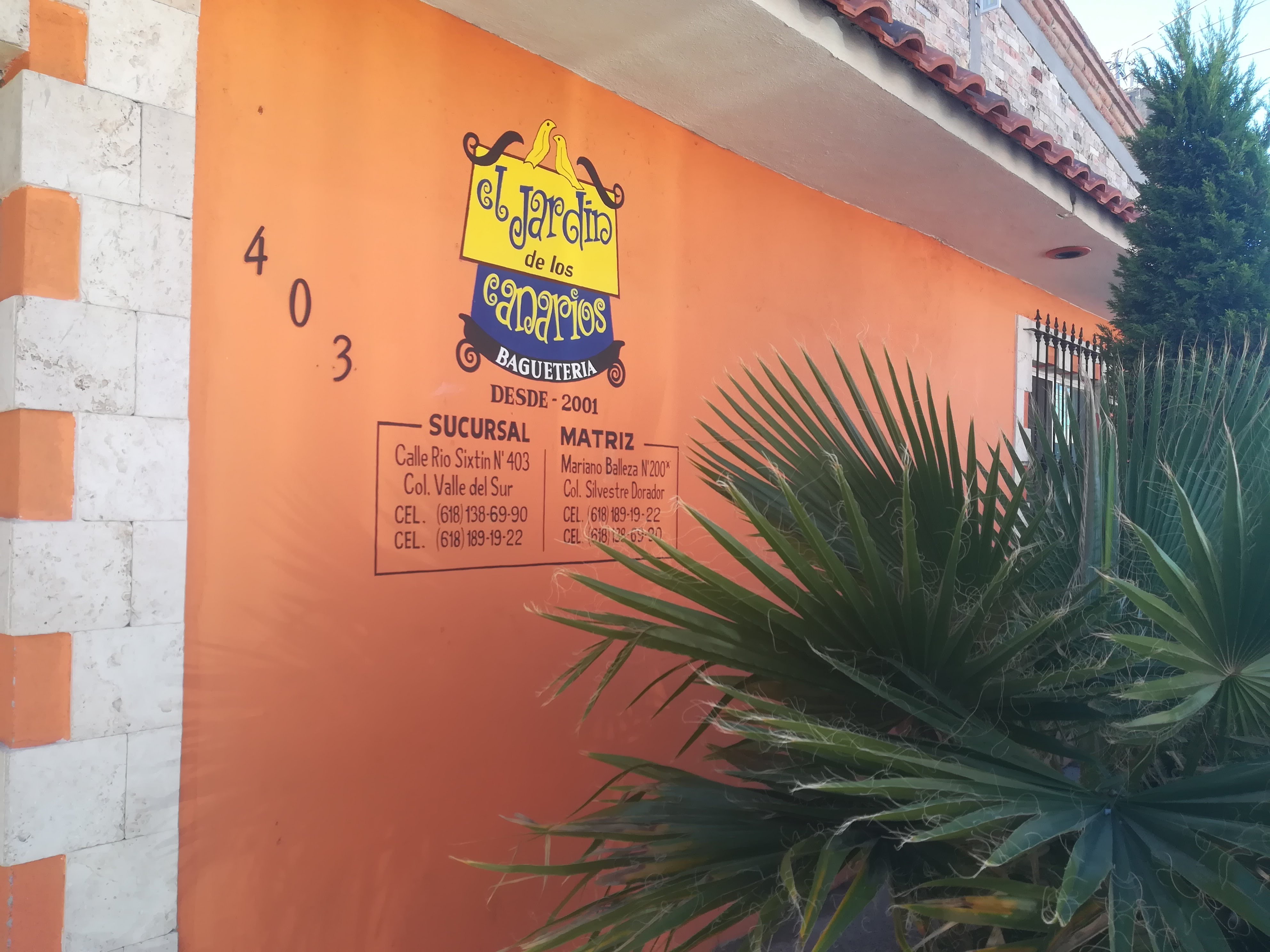 El Jardin de los Canarios image 7