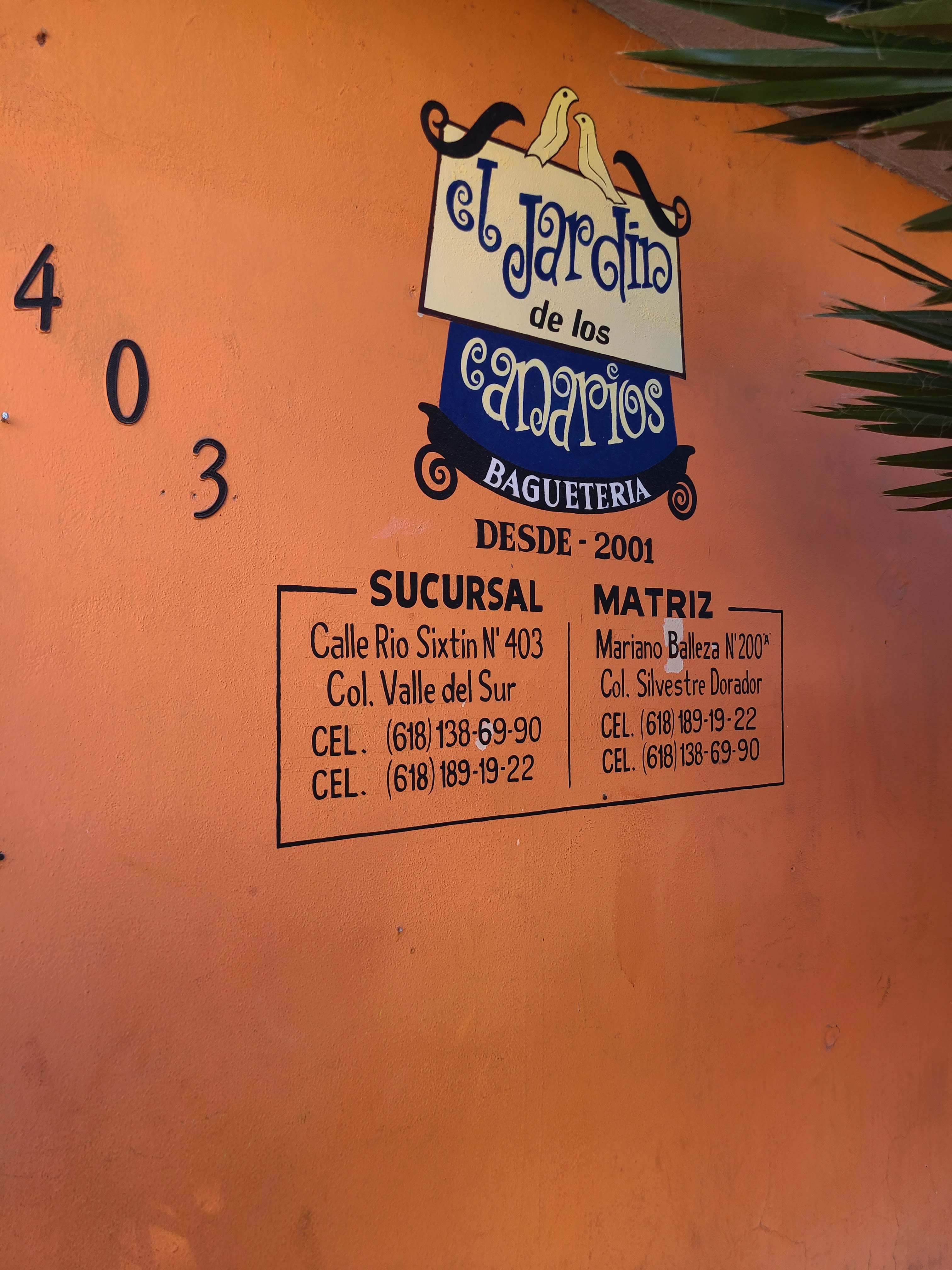 El Jardin de los Canarios image 9