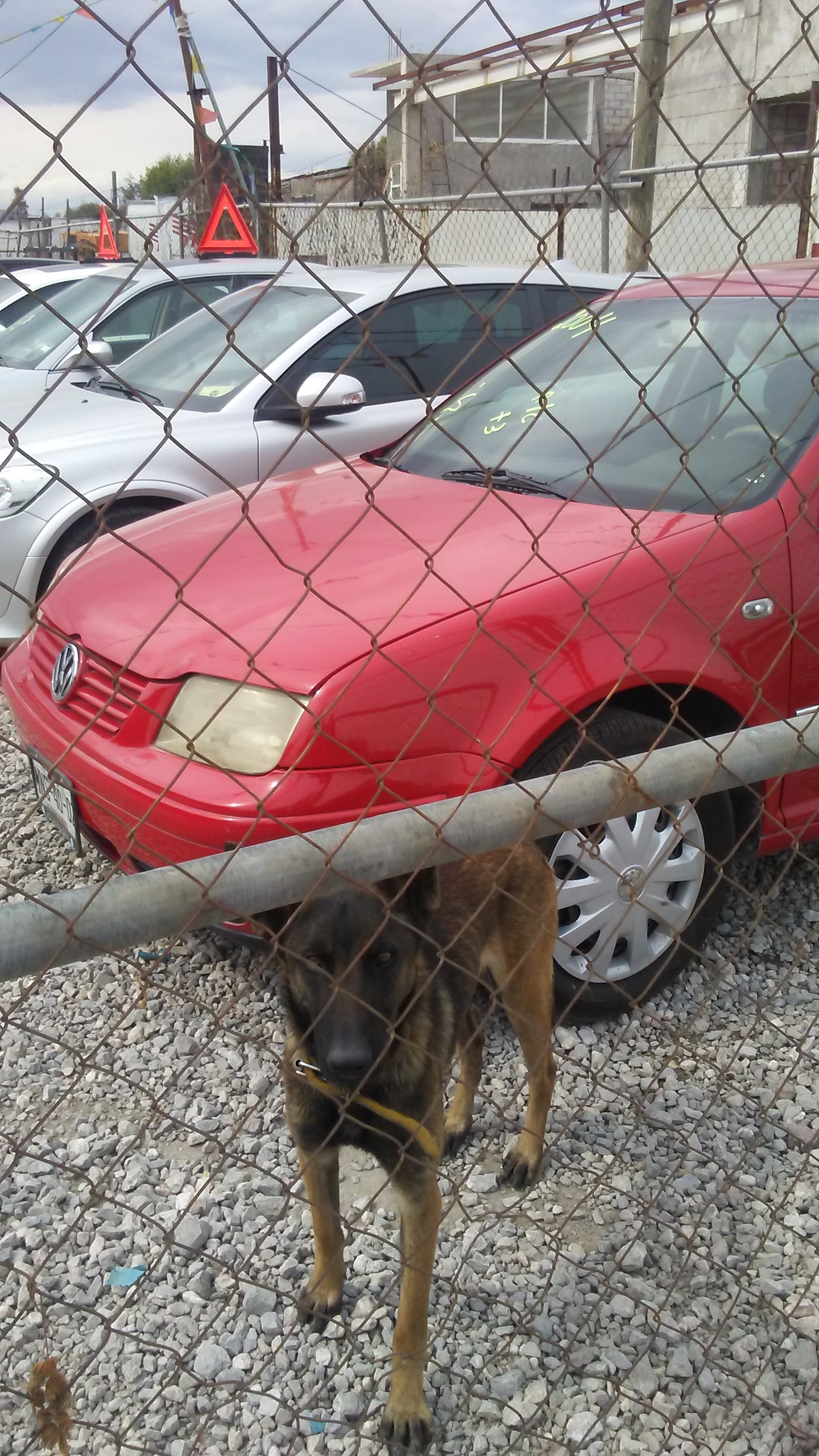 Taquería Rojas image 4