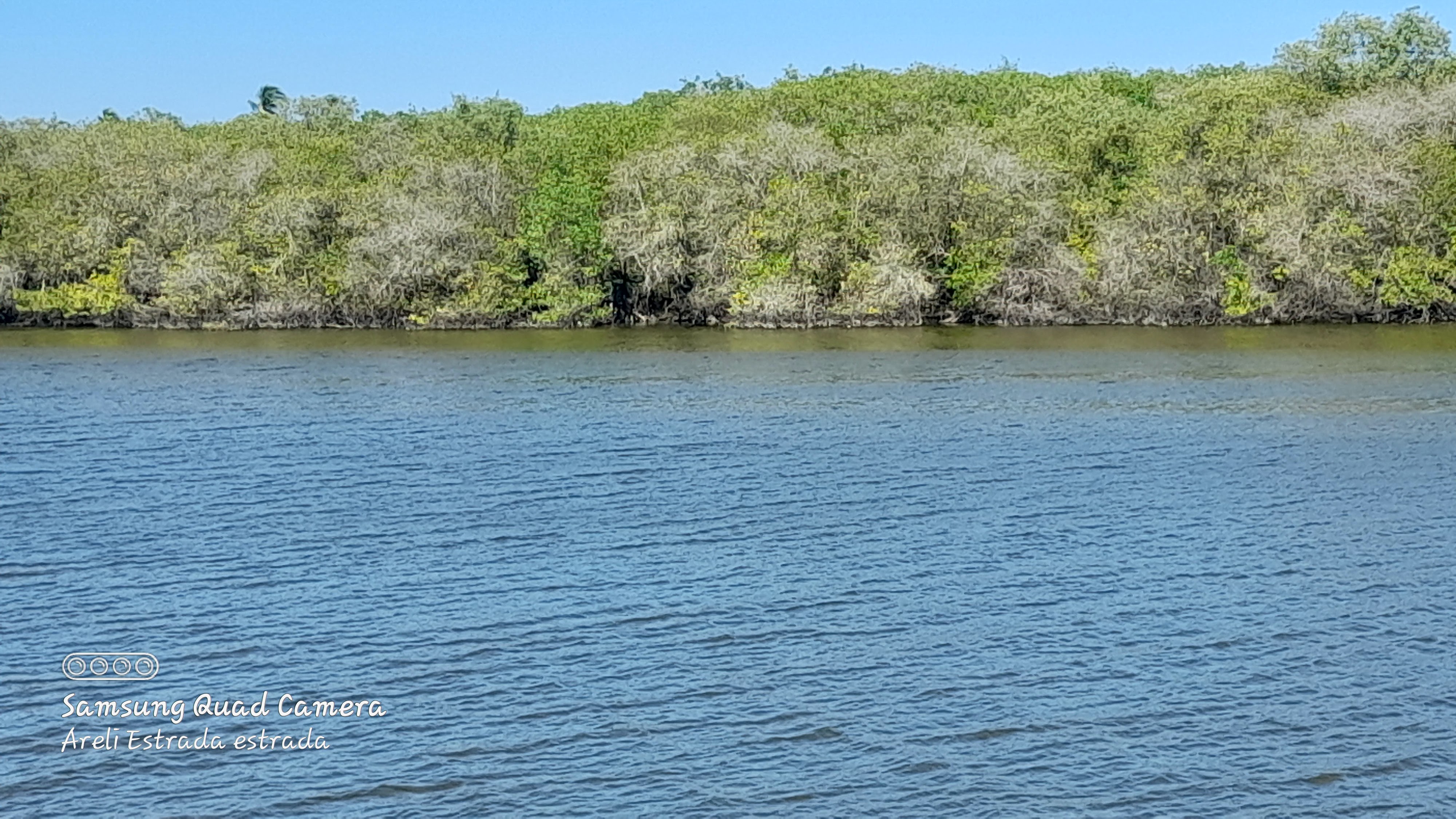 Restaurant Bar Alejo Laguna image 7