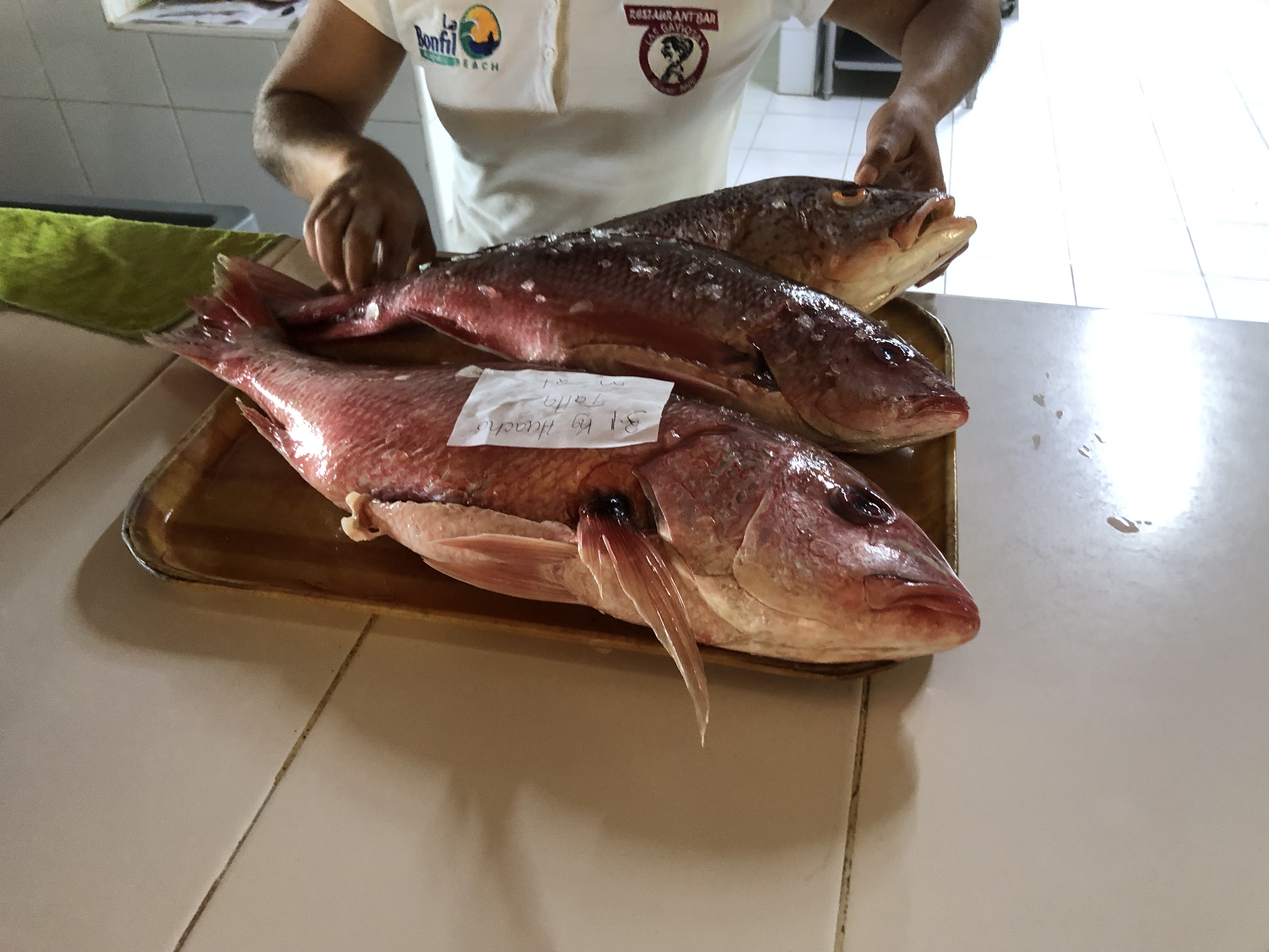 Las Gaviotas su Amigo Paco - Restaurante image 9