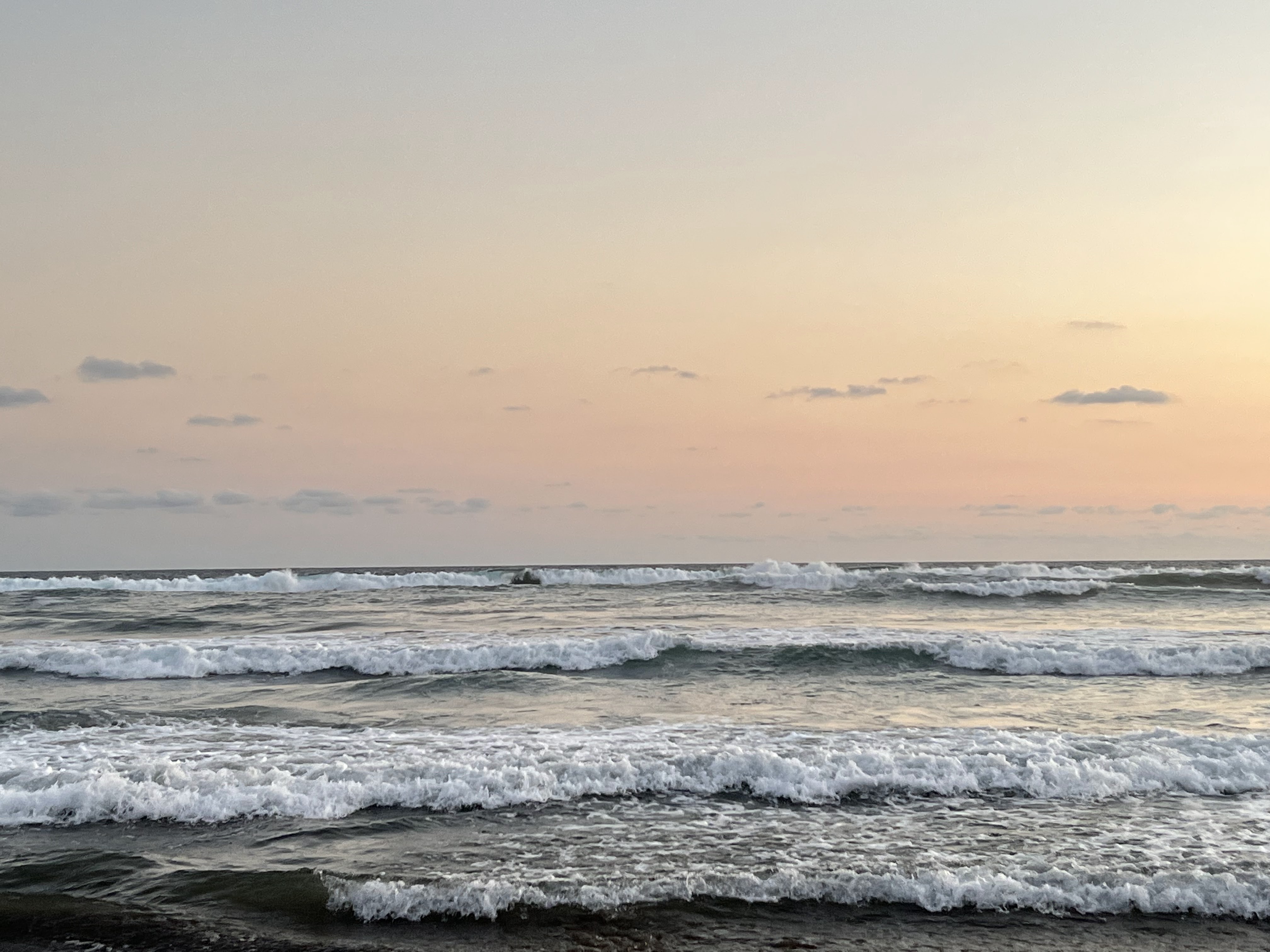 Restaurant Mariche image 6