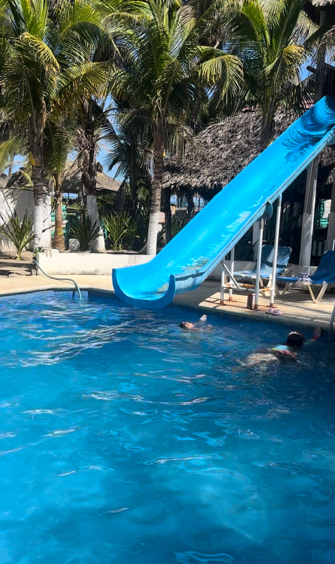 Restaurante Mocambo - Barra Vieja image 5