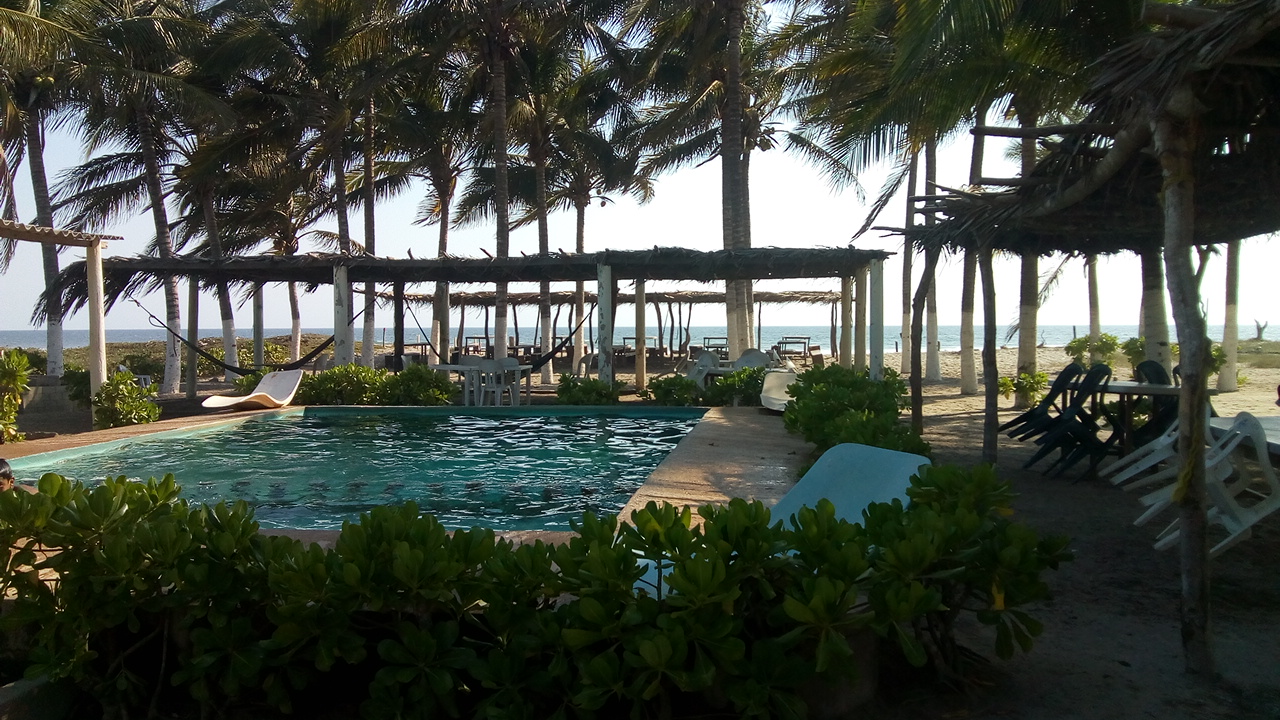 Restaurant Coco Beach image 3