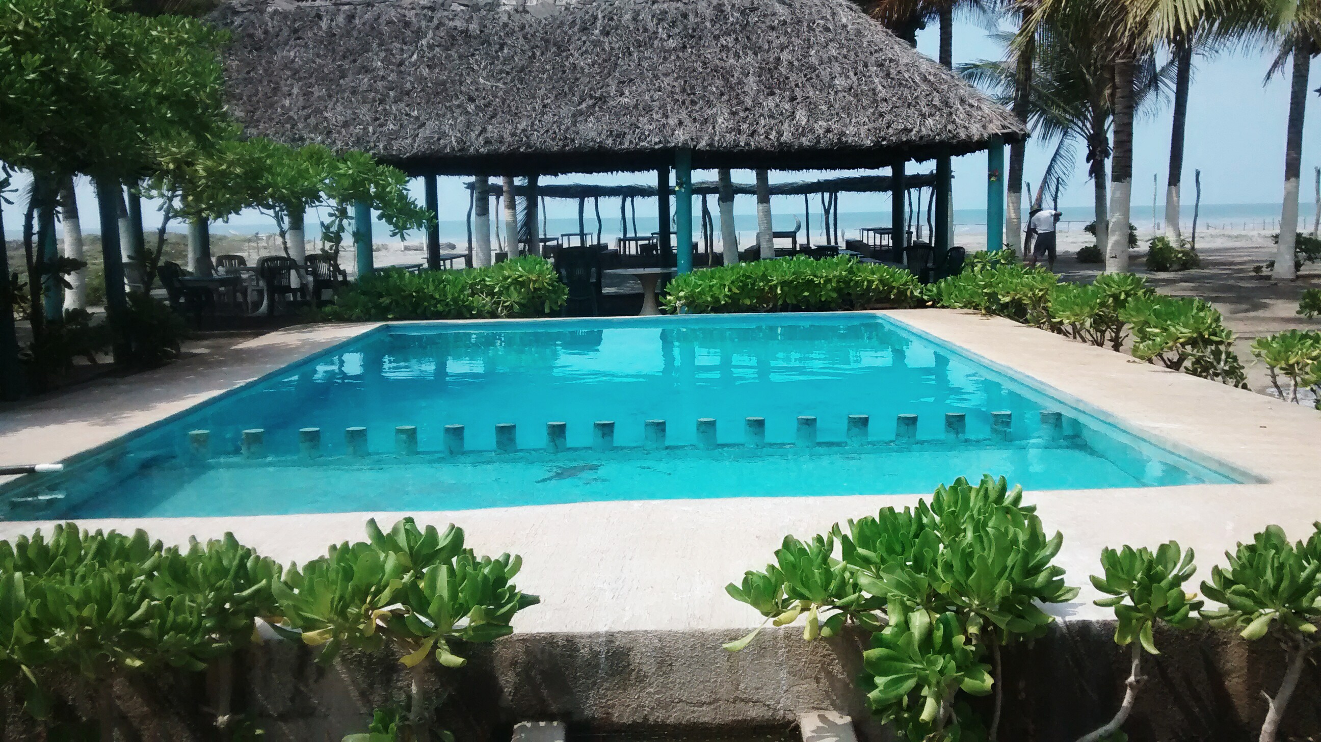 Restaurant Coco Beach image 4