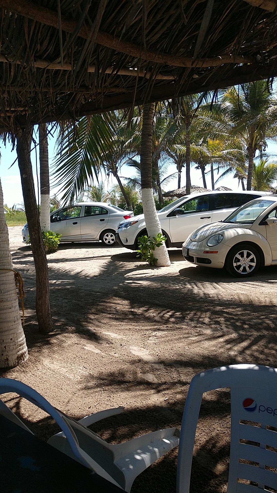 Restaurant Coco Beach image 6