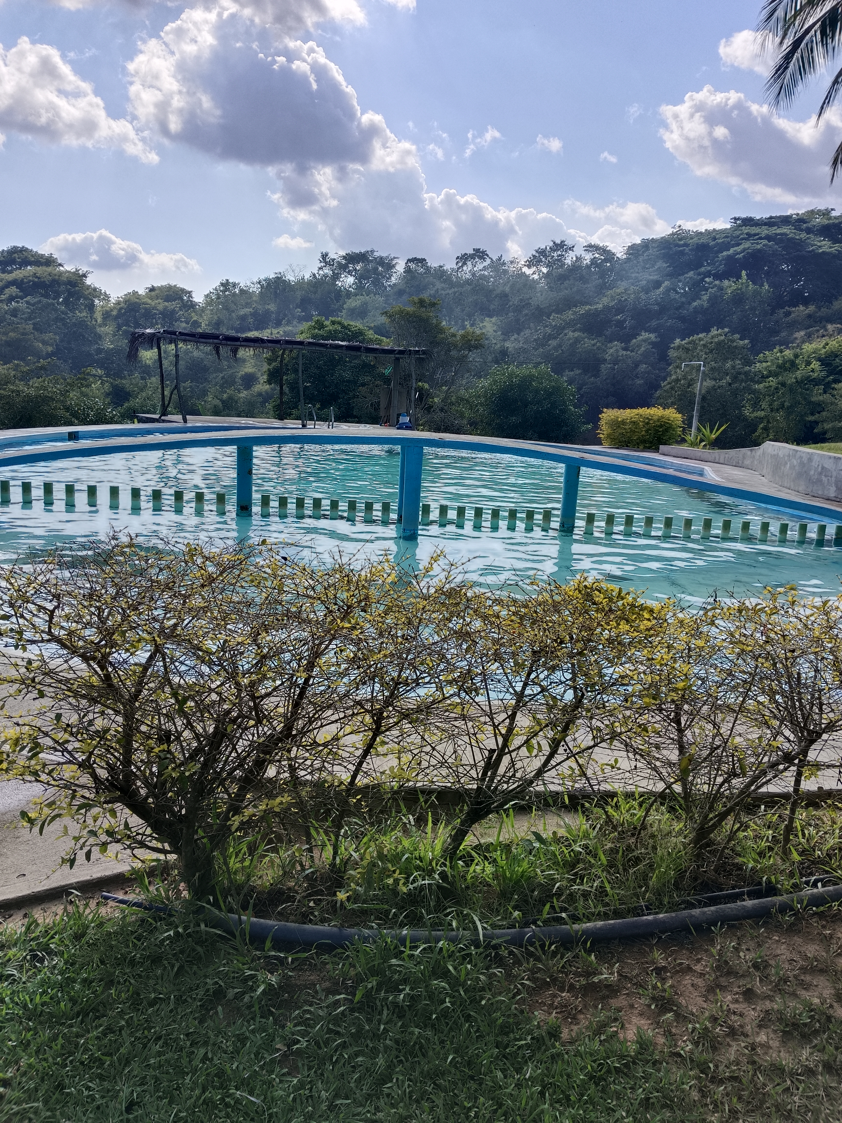 FINCA SAN ISIDRO image 4