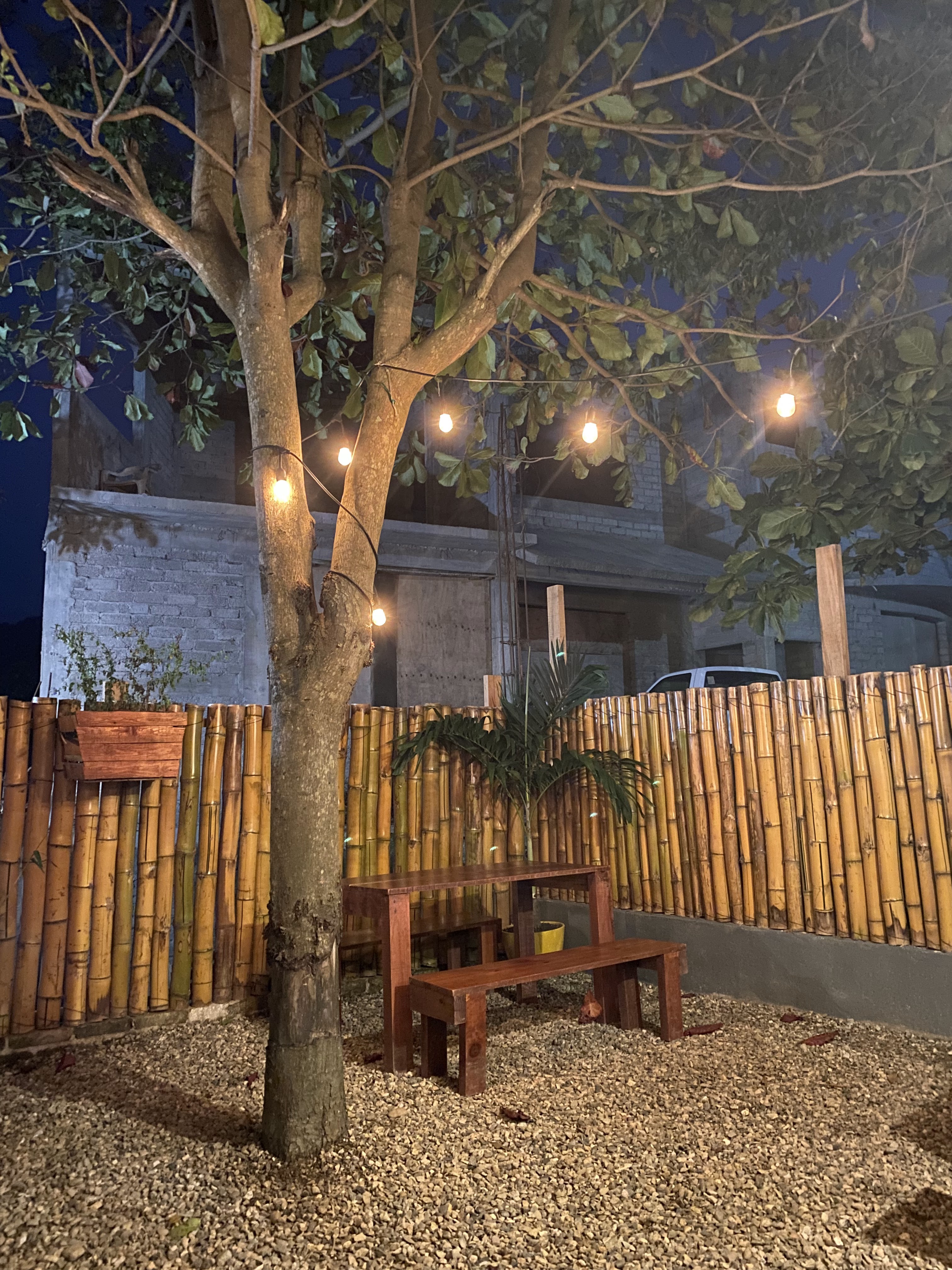 Tierra Santa Pizzas image 5