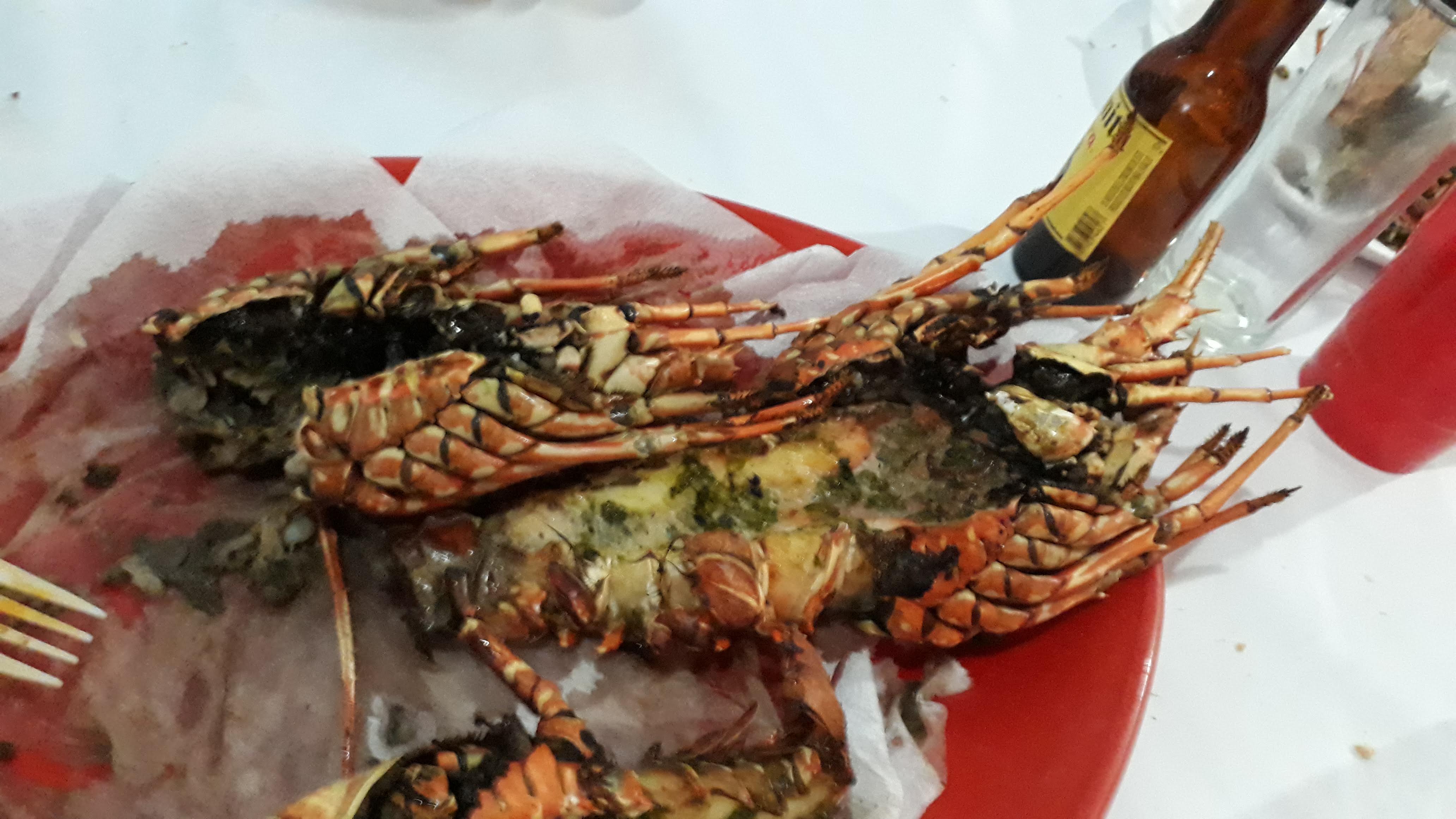 Balneareo Los Delfines image 2