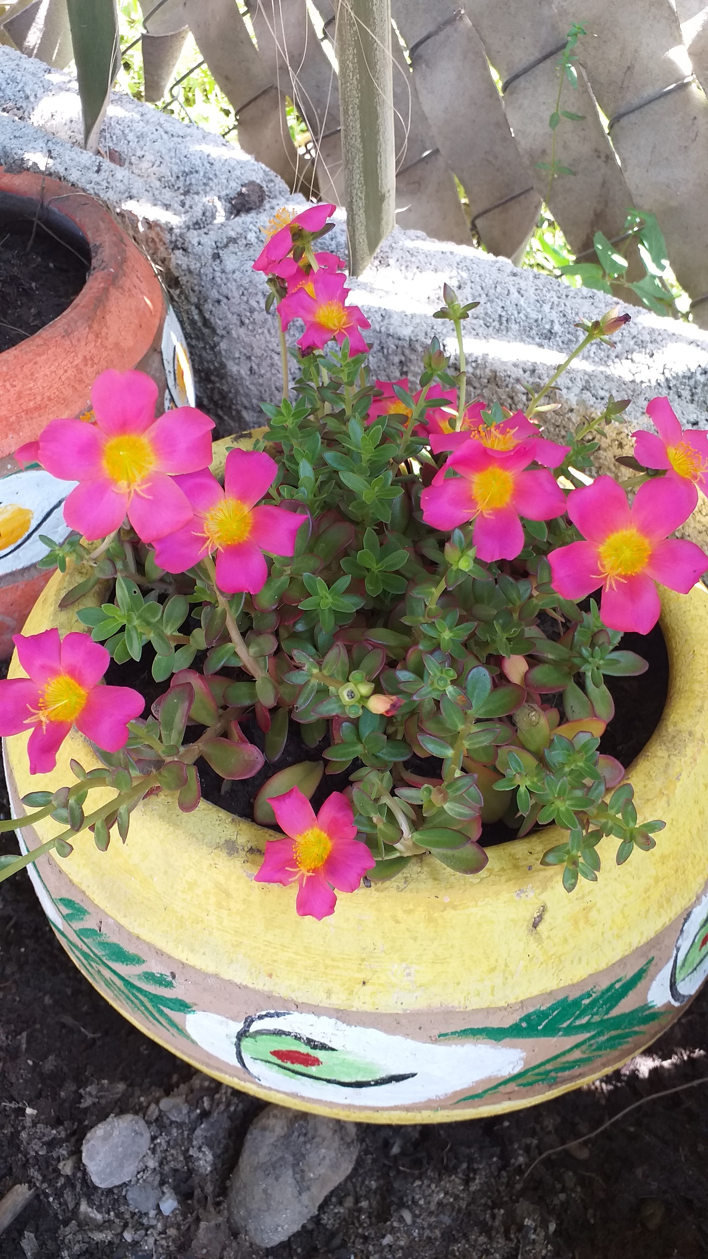 El Azafrás (Marisqueria-Bar) image 3