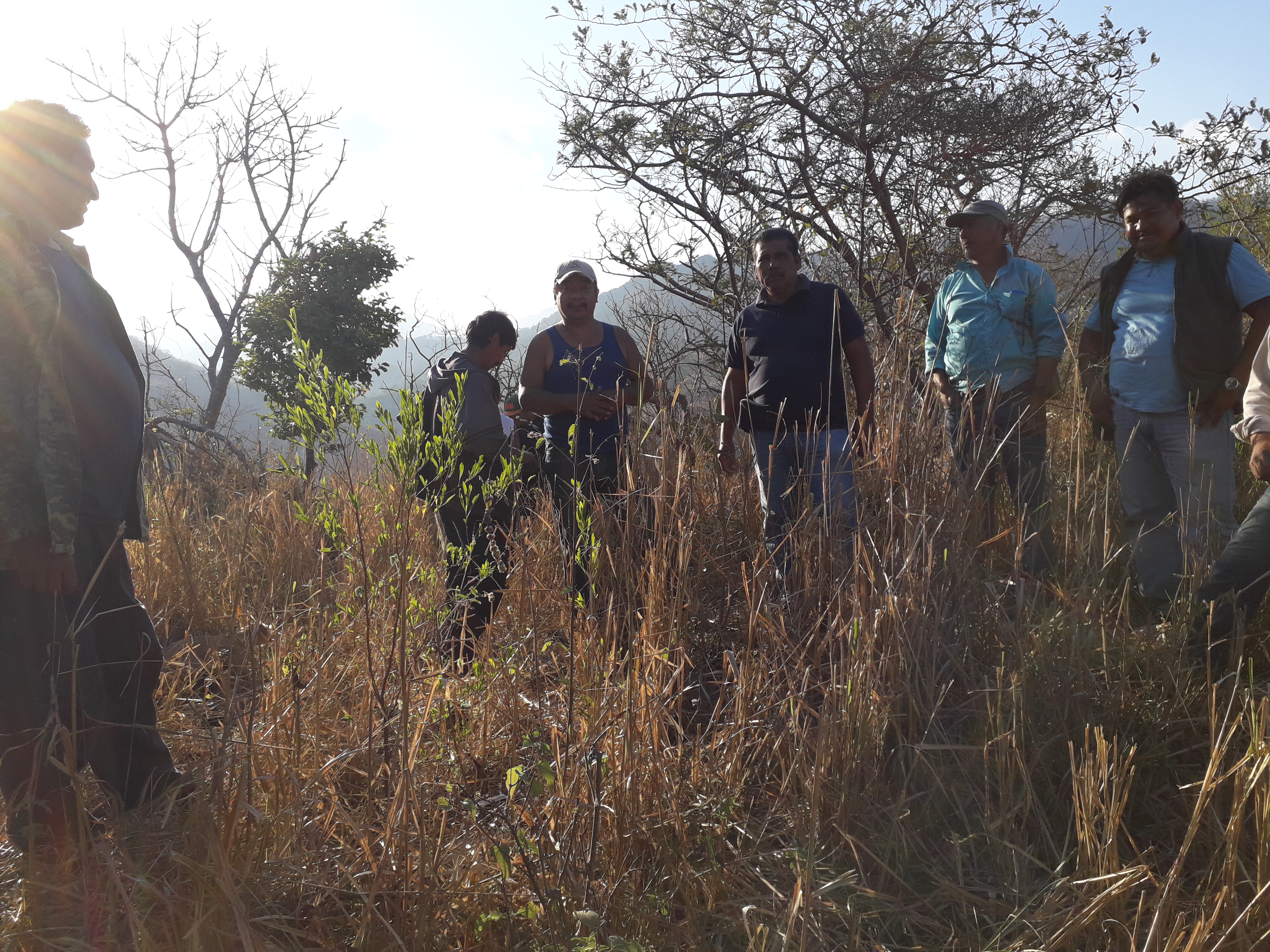 Alberca "San Lorenzo" image 5