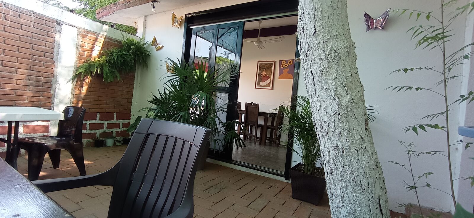 Enfruta2 image 7